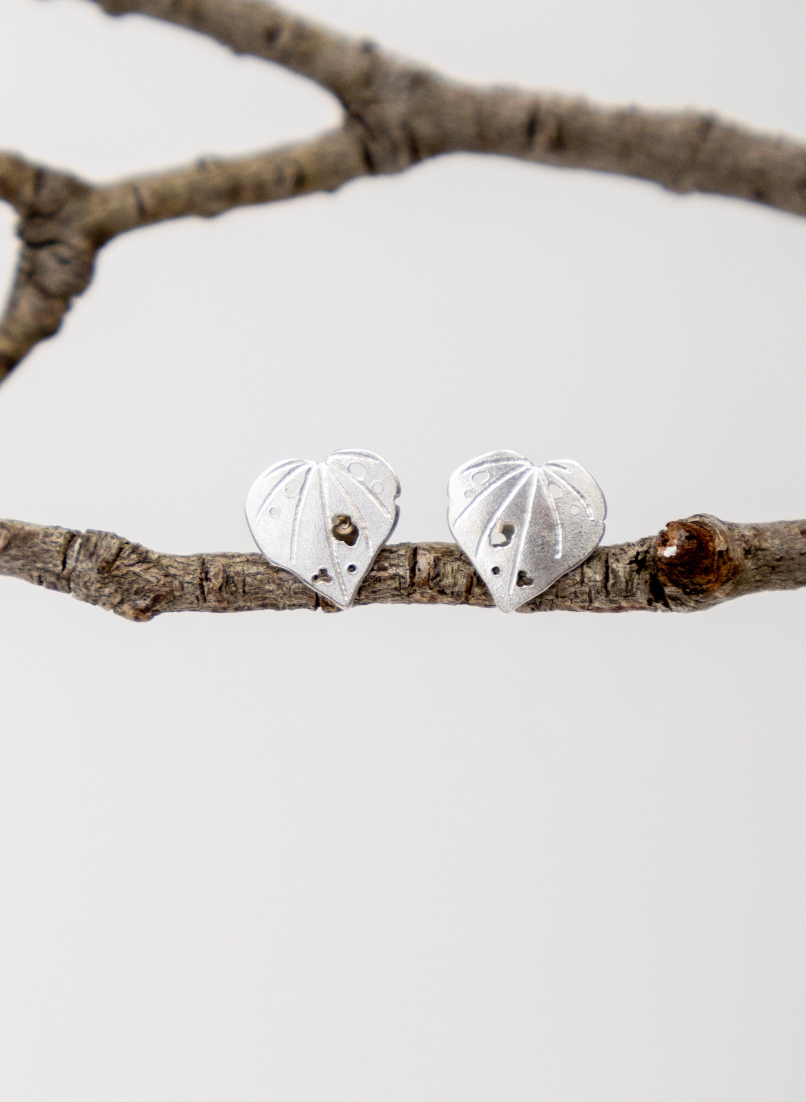 Kawakawa Studs