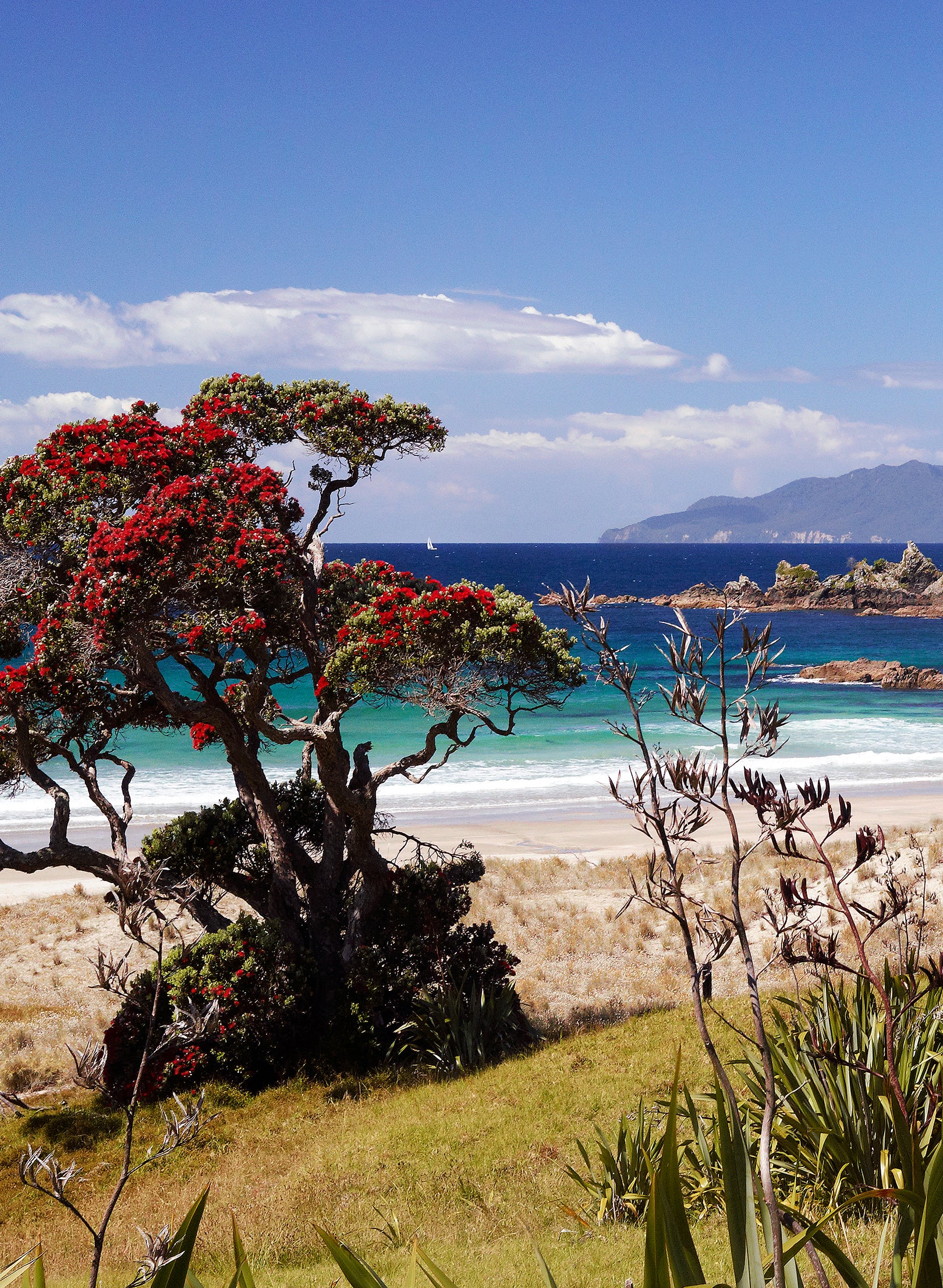 Scarlet Shores - Photographic Print