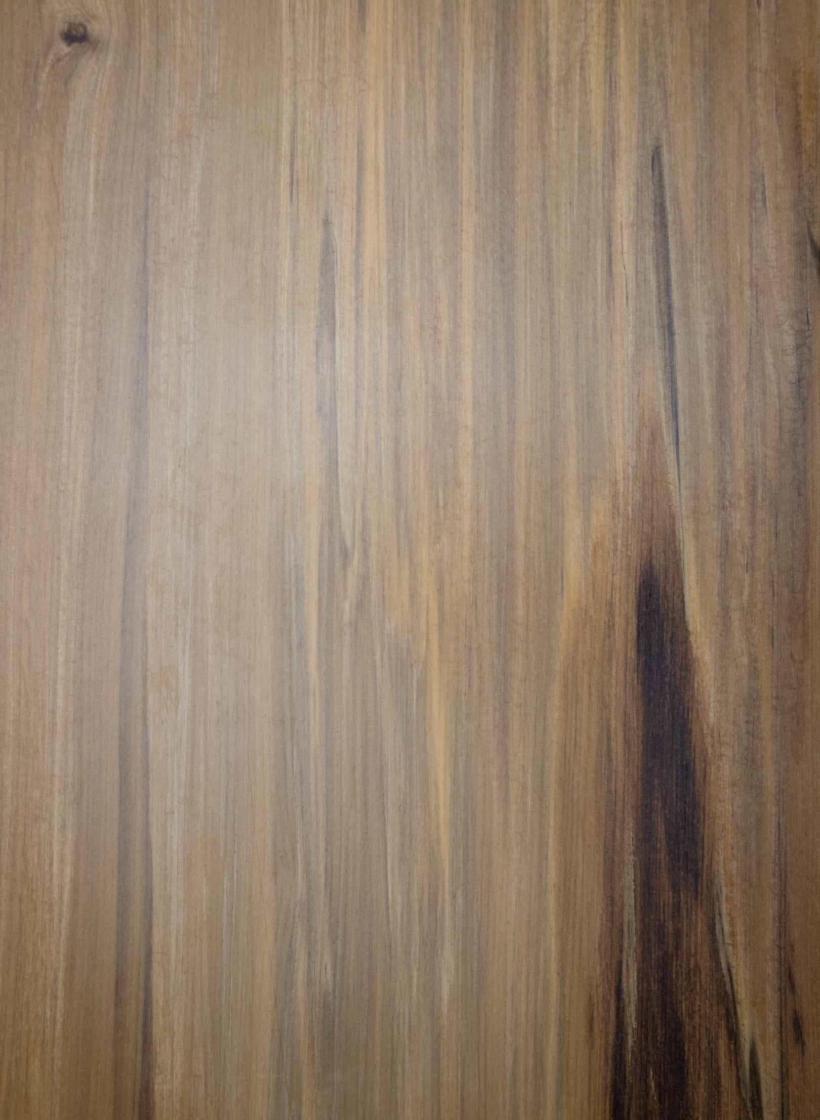 Volcanic Kahikatea Presentation Board