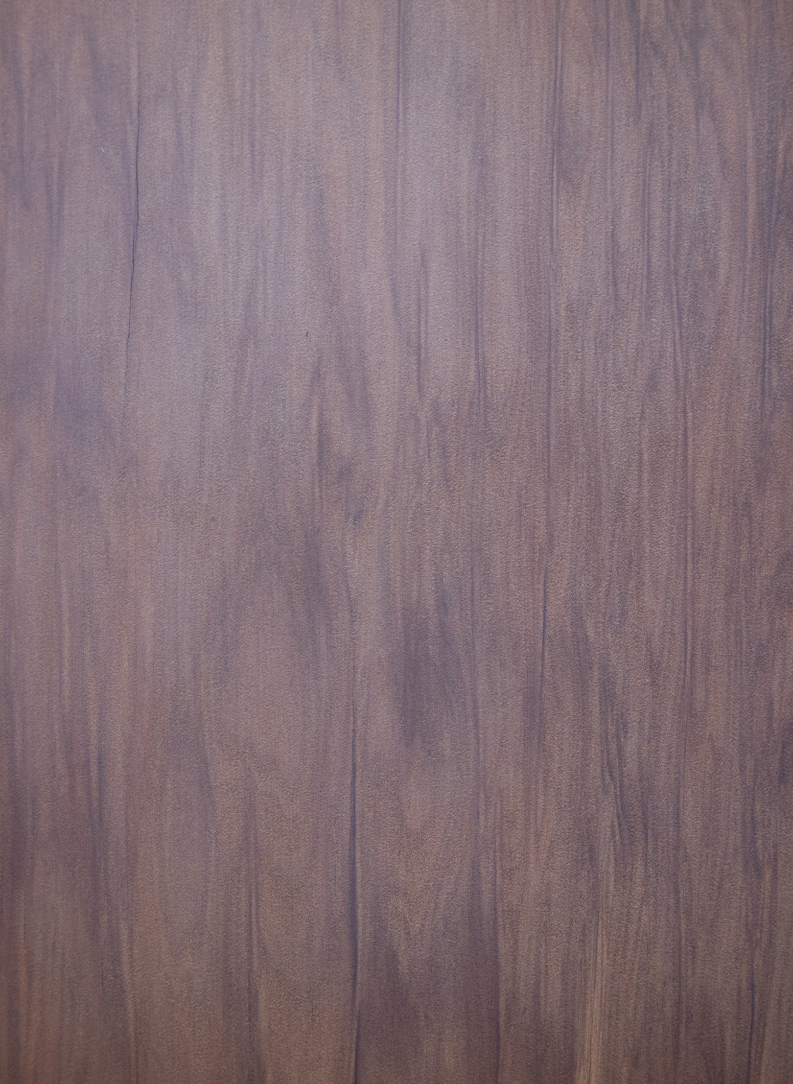 NZ Ancient Kauri Presentation Board