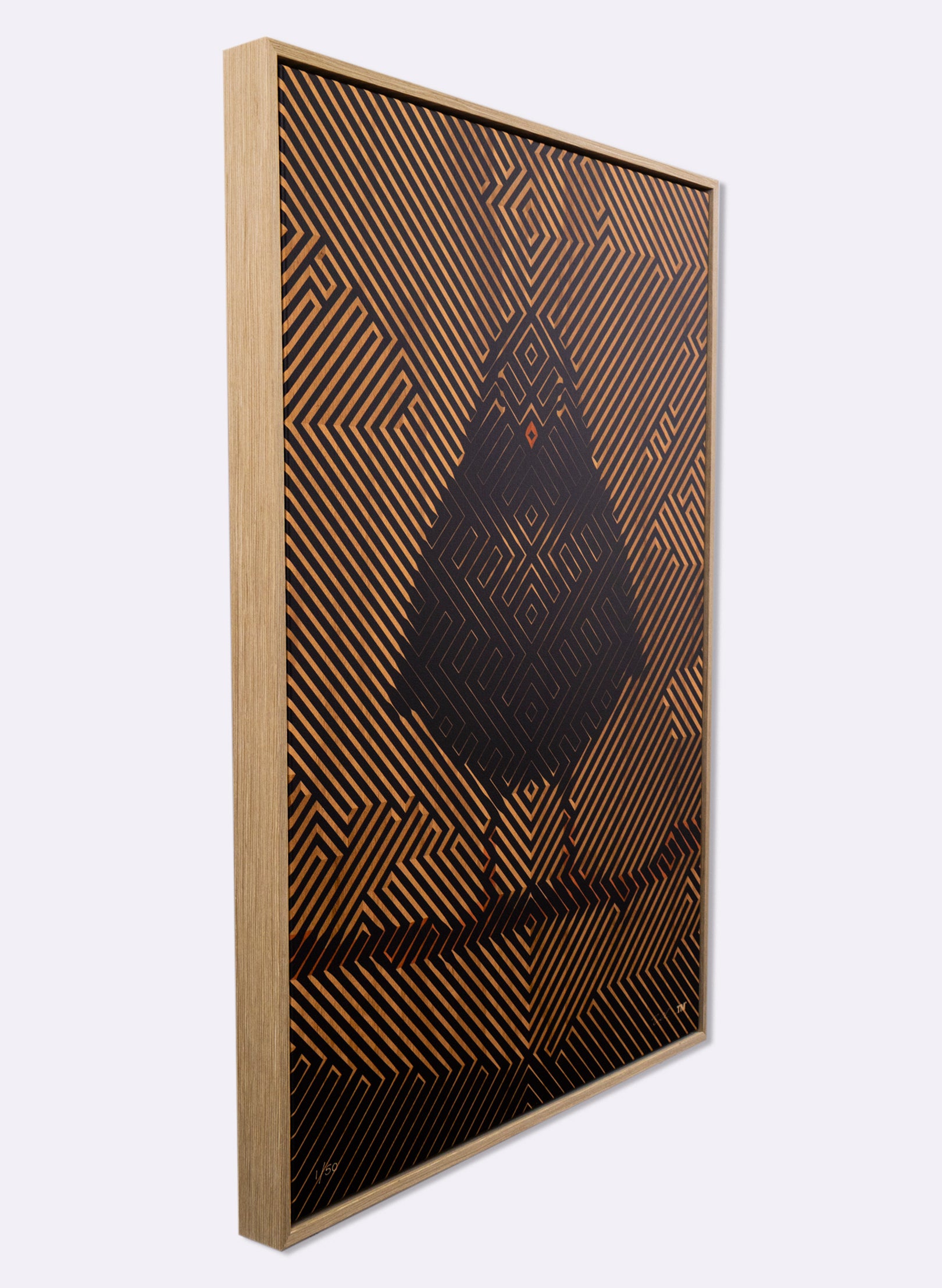 Woodland Black Robin