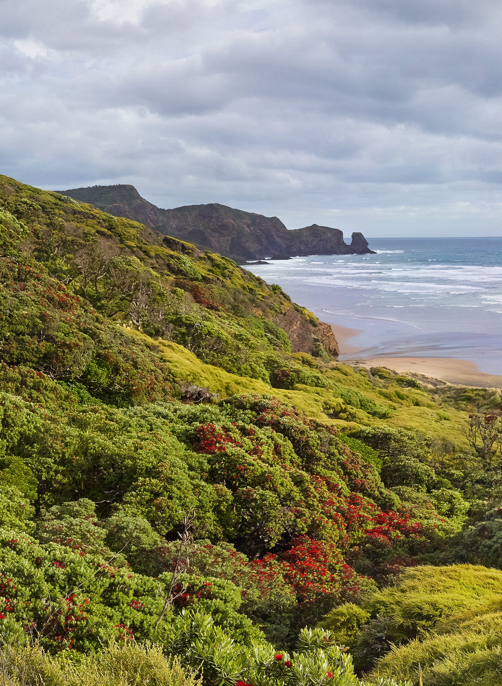 Tawhiti Te Henga - Photographic Print