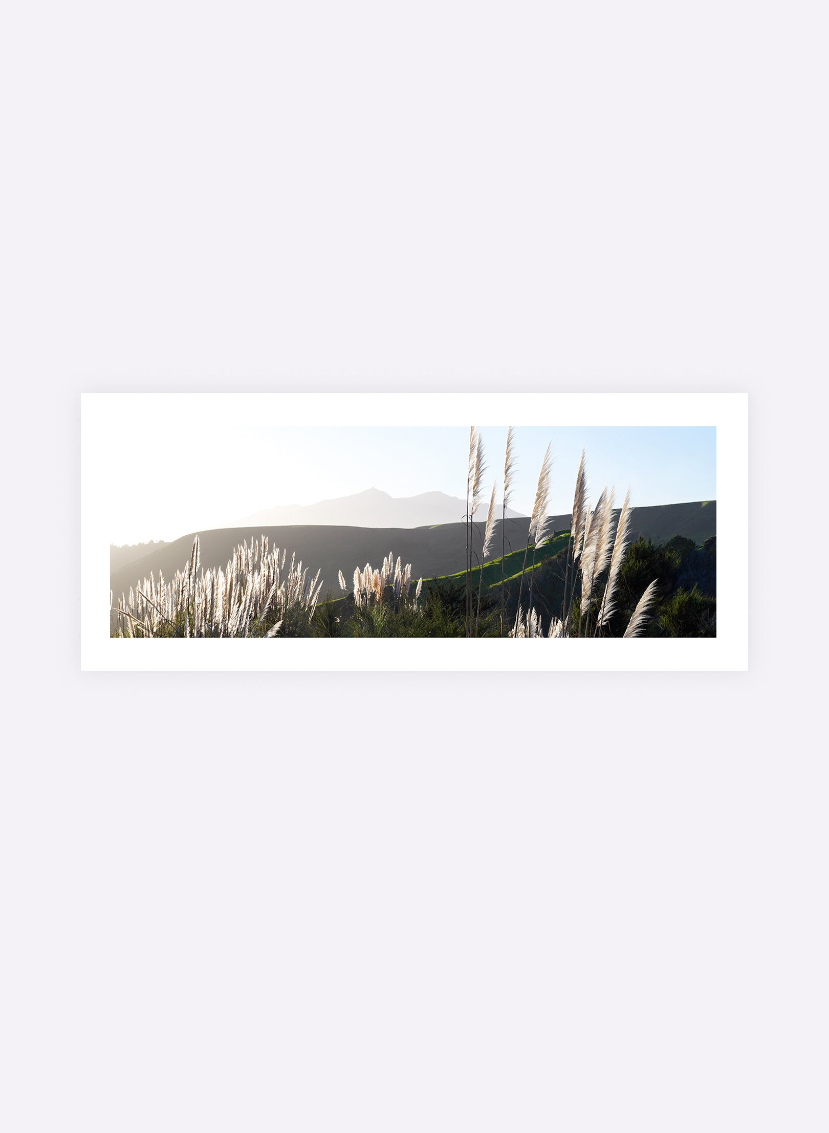 The Road To Pirongia - Photographic Print