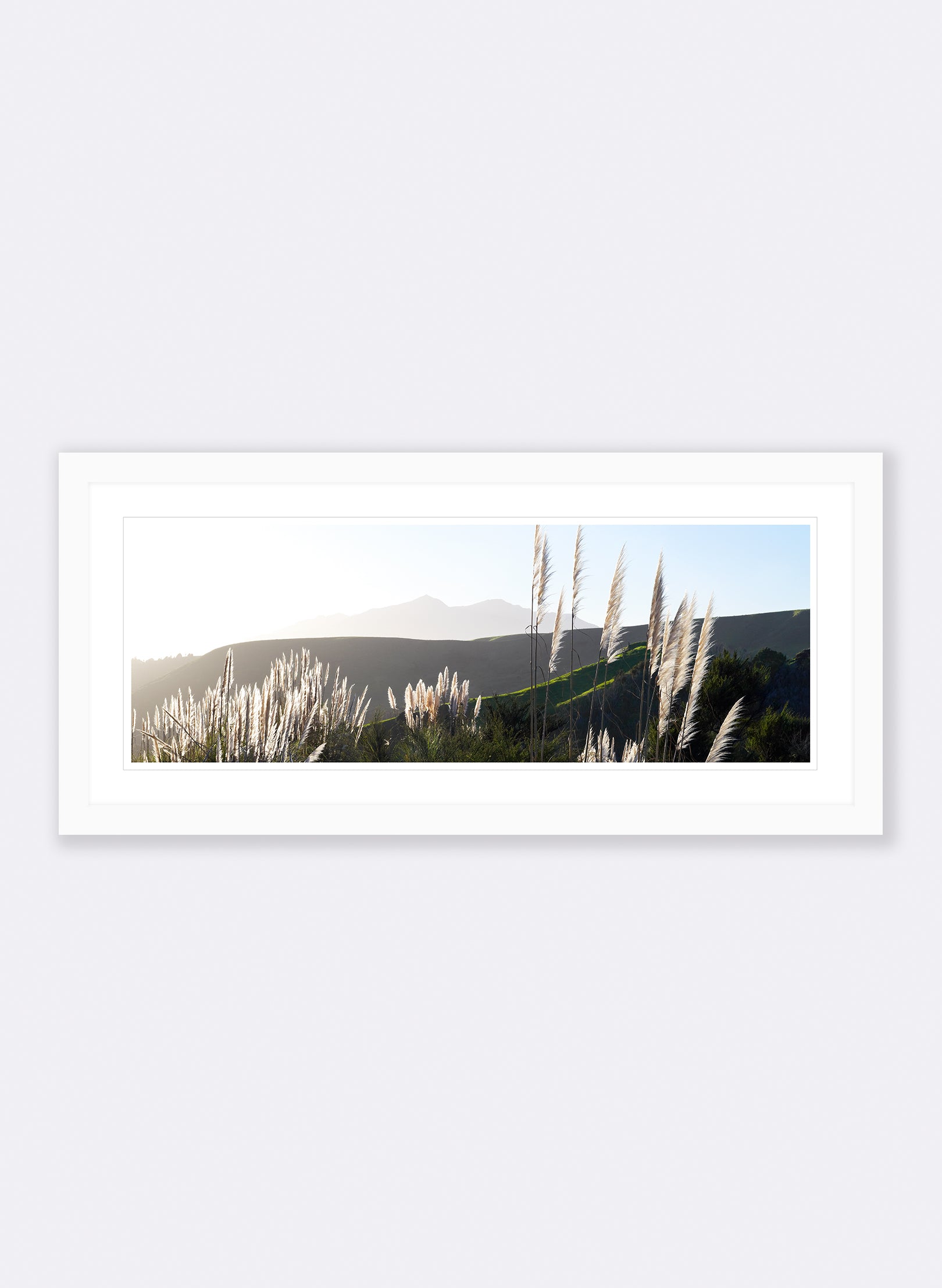 The Road To Pirongia - Photographic Print