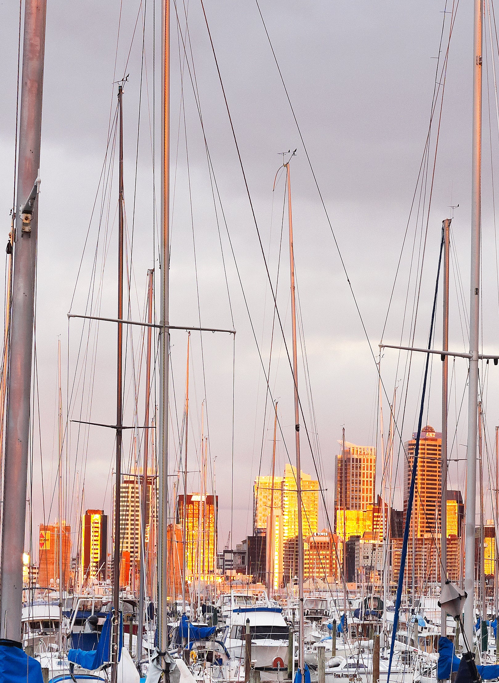 Twilight In The City - Photographic Print