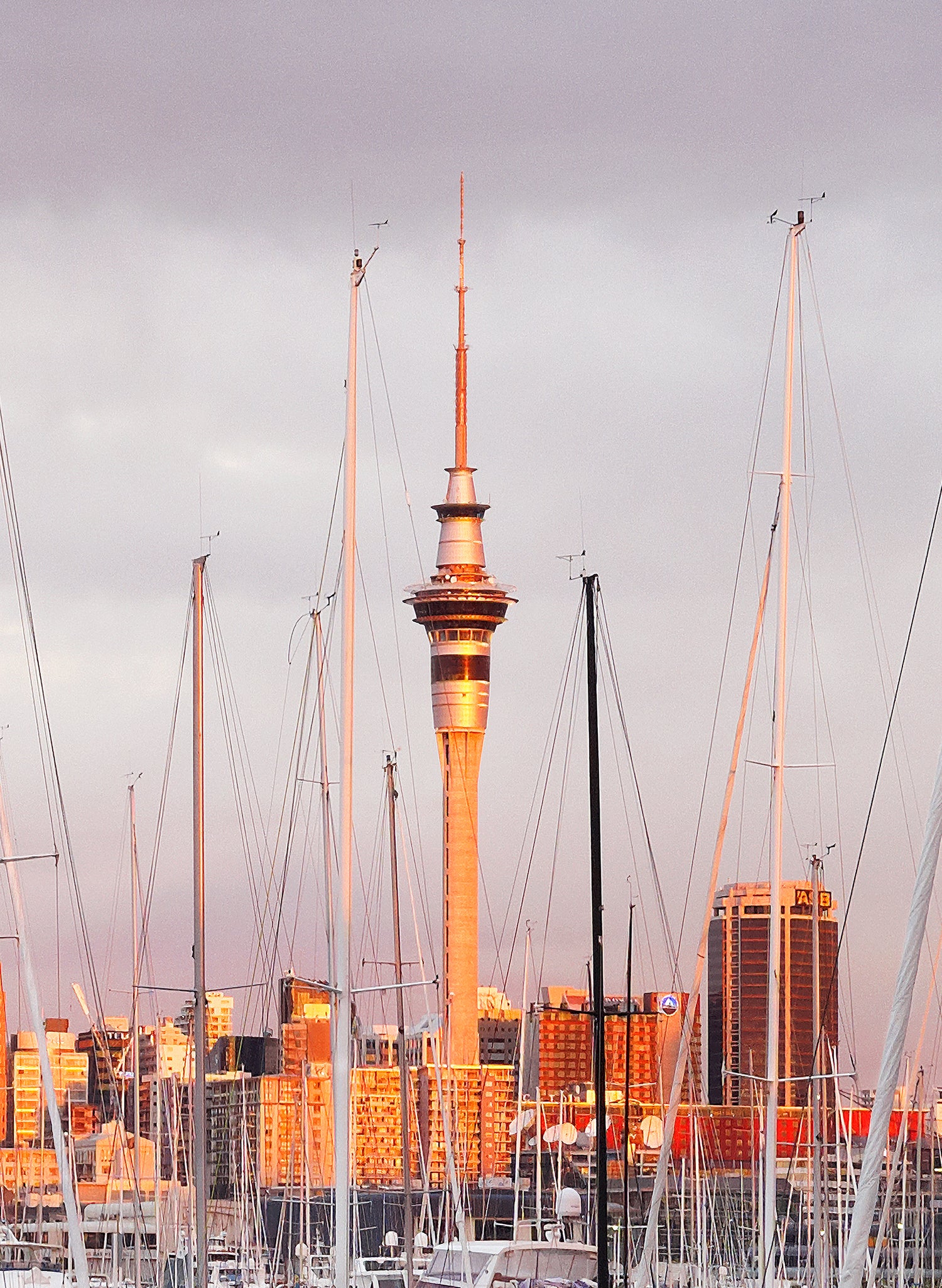 Twilight In The City - Photographic Print