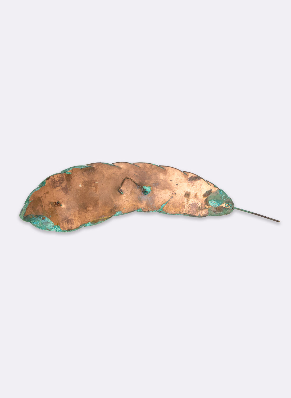 Curved Feather
