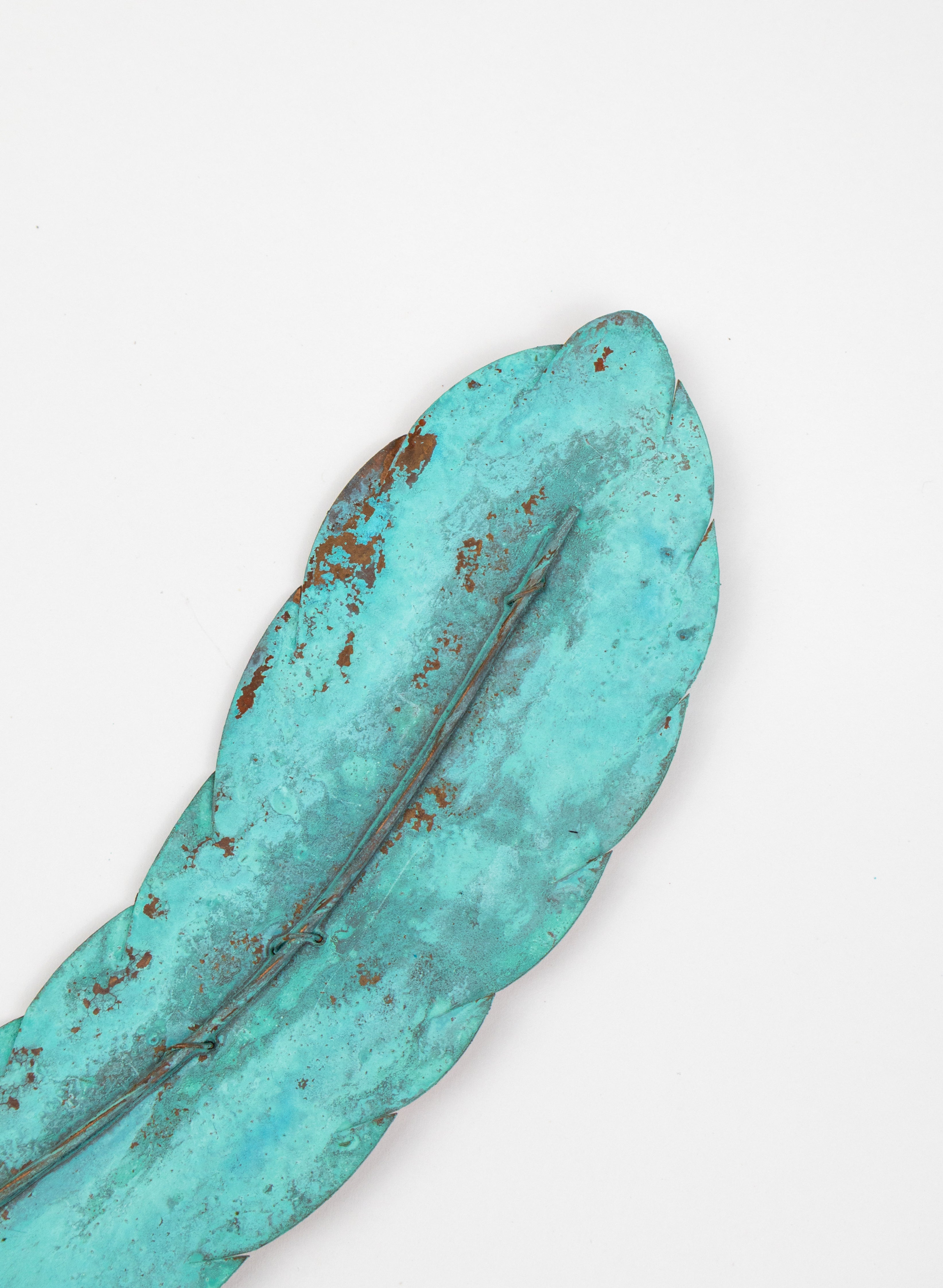 Curved Feather