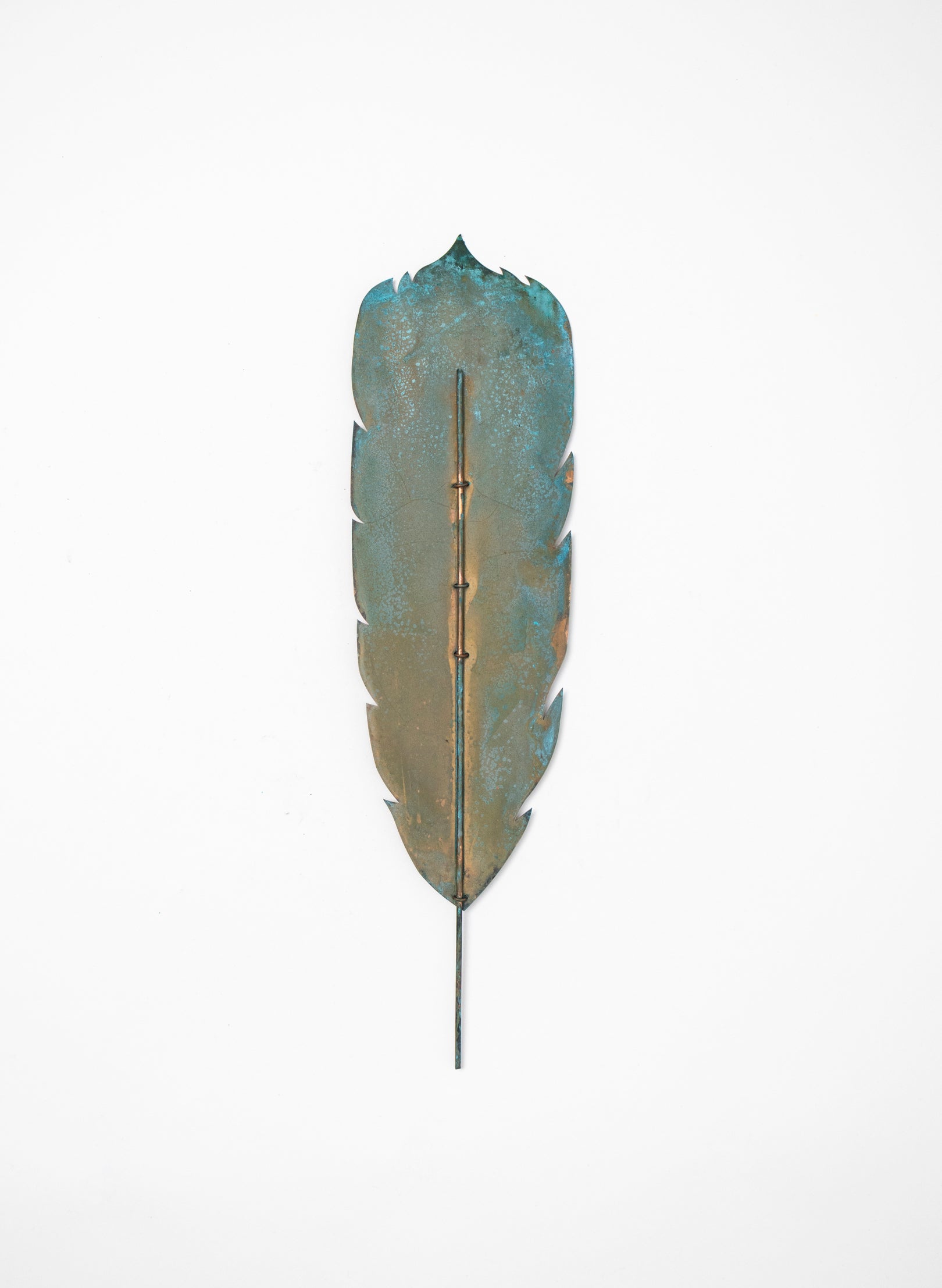 Huia Feather