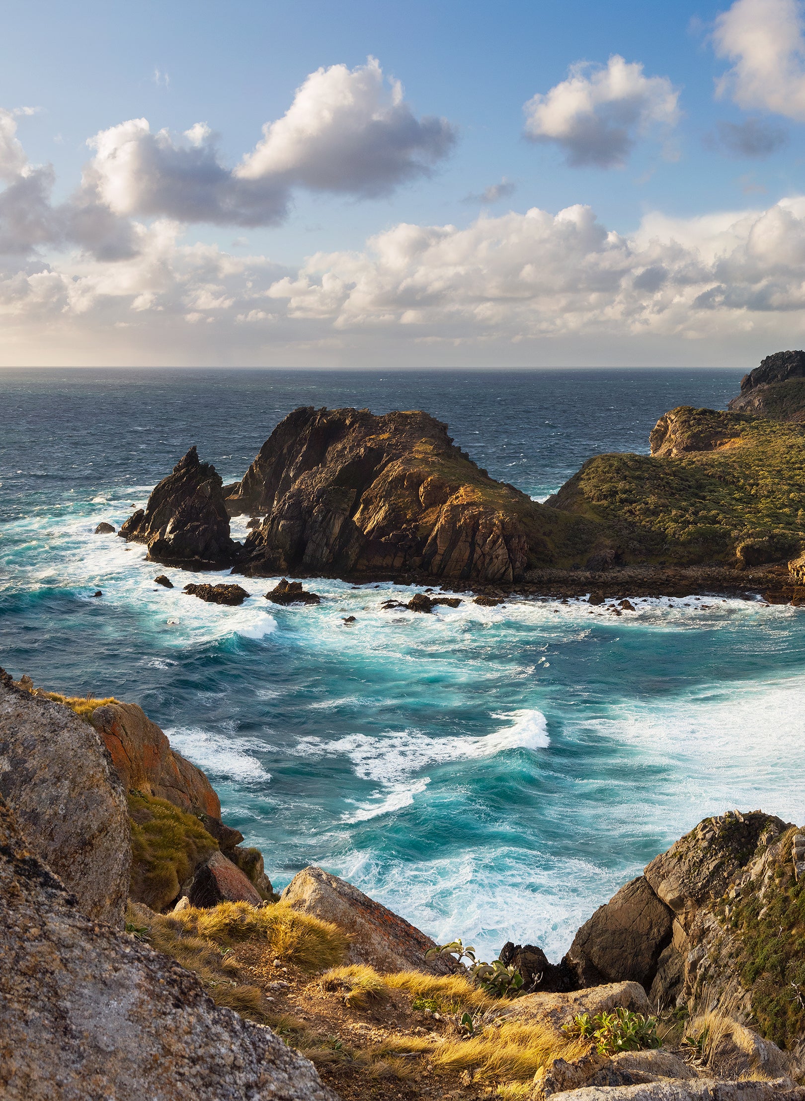 Wild & Windswept - Photographic Print