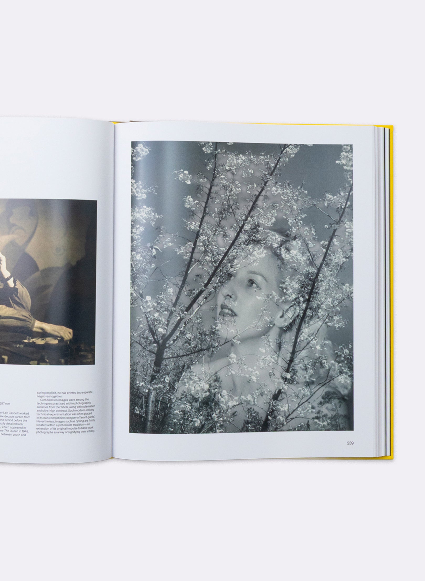 NZ Photography Collected