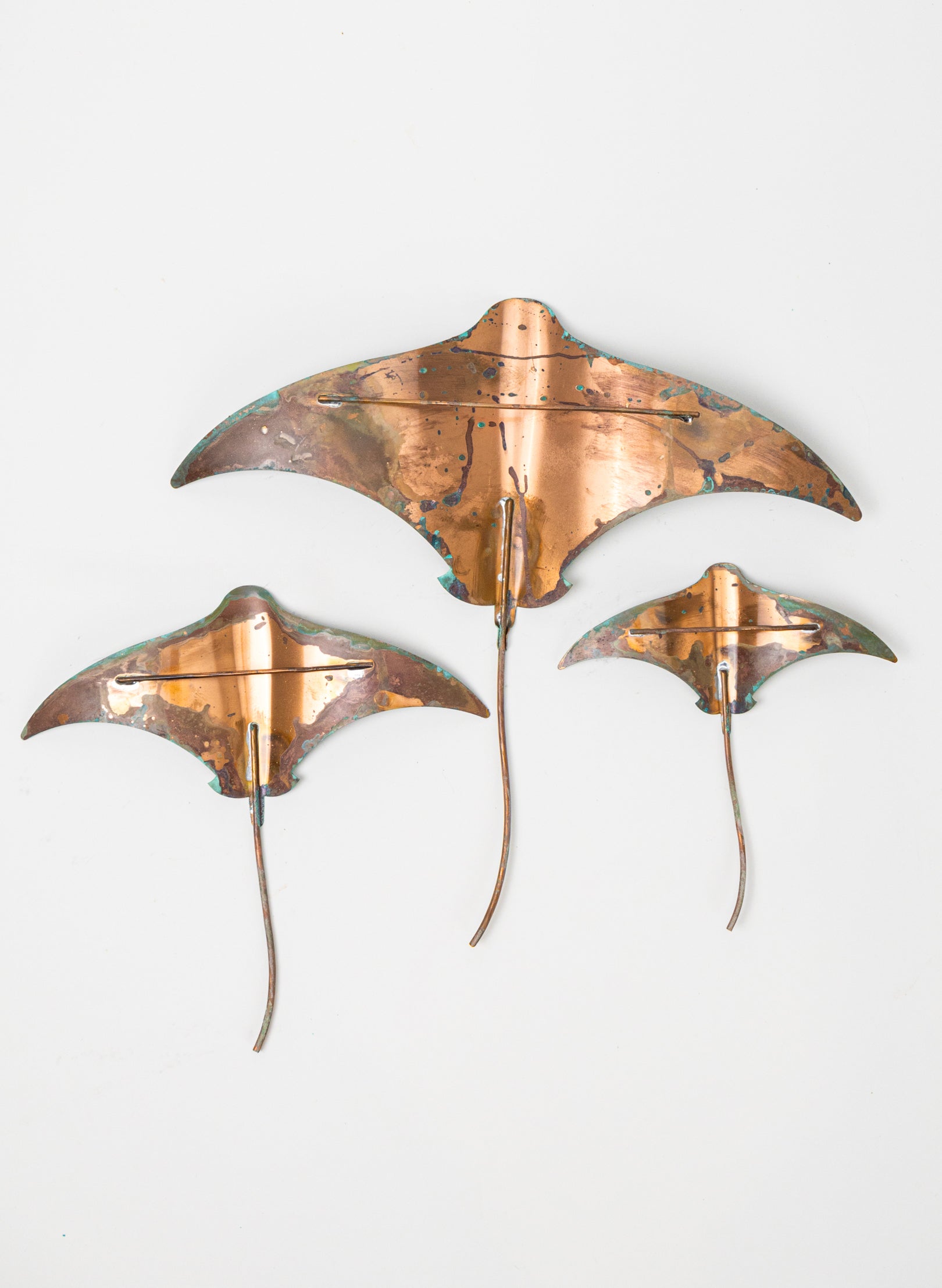 Stingray - Set of 3