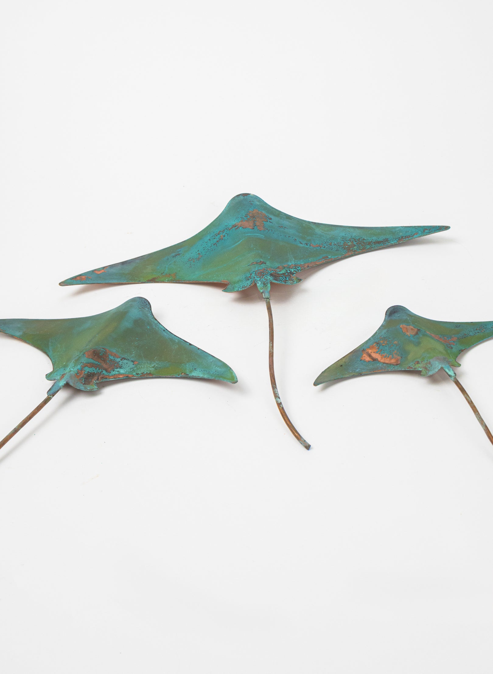 Stingray - Set of 3