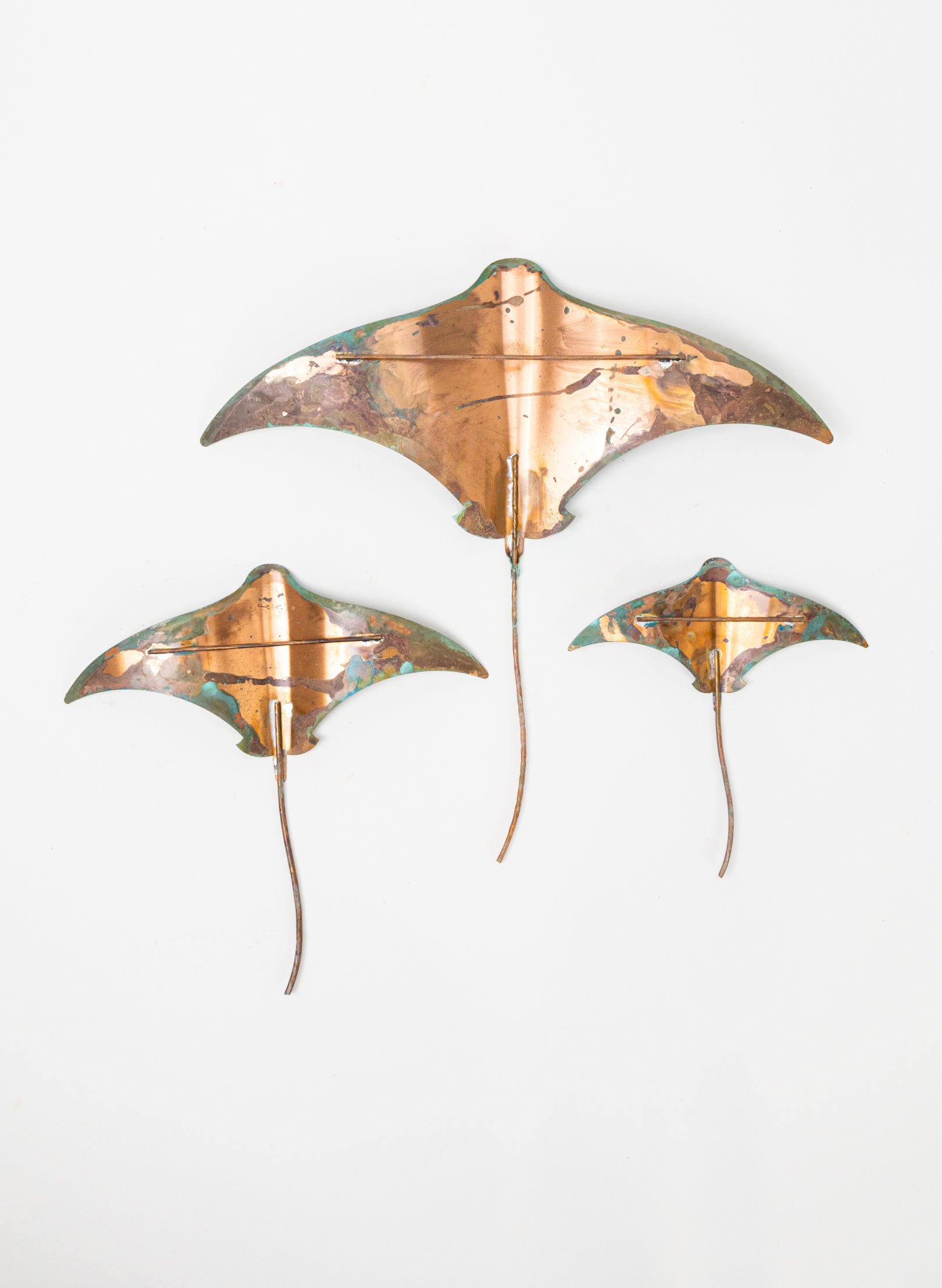 Stingray - Set of 3