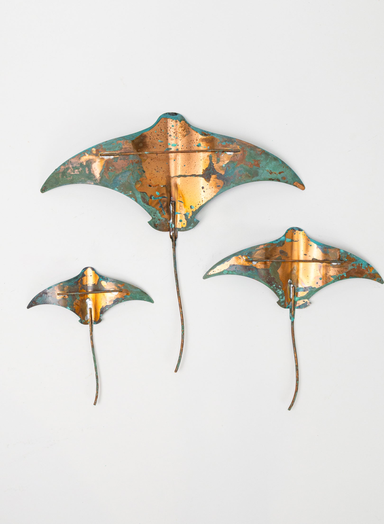 Stingray - Set of 3
