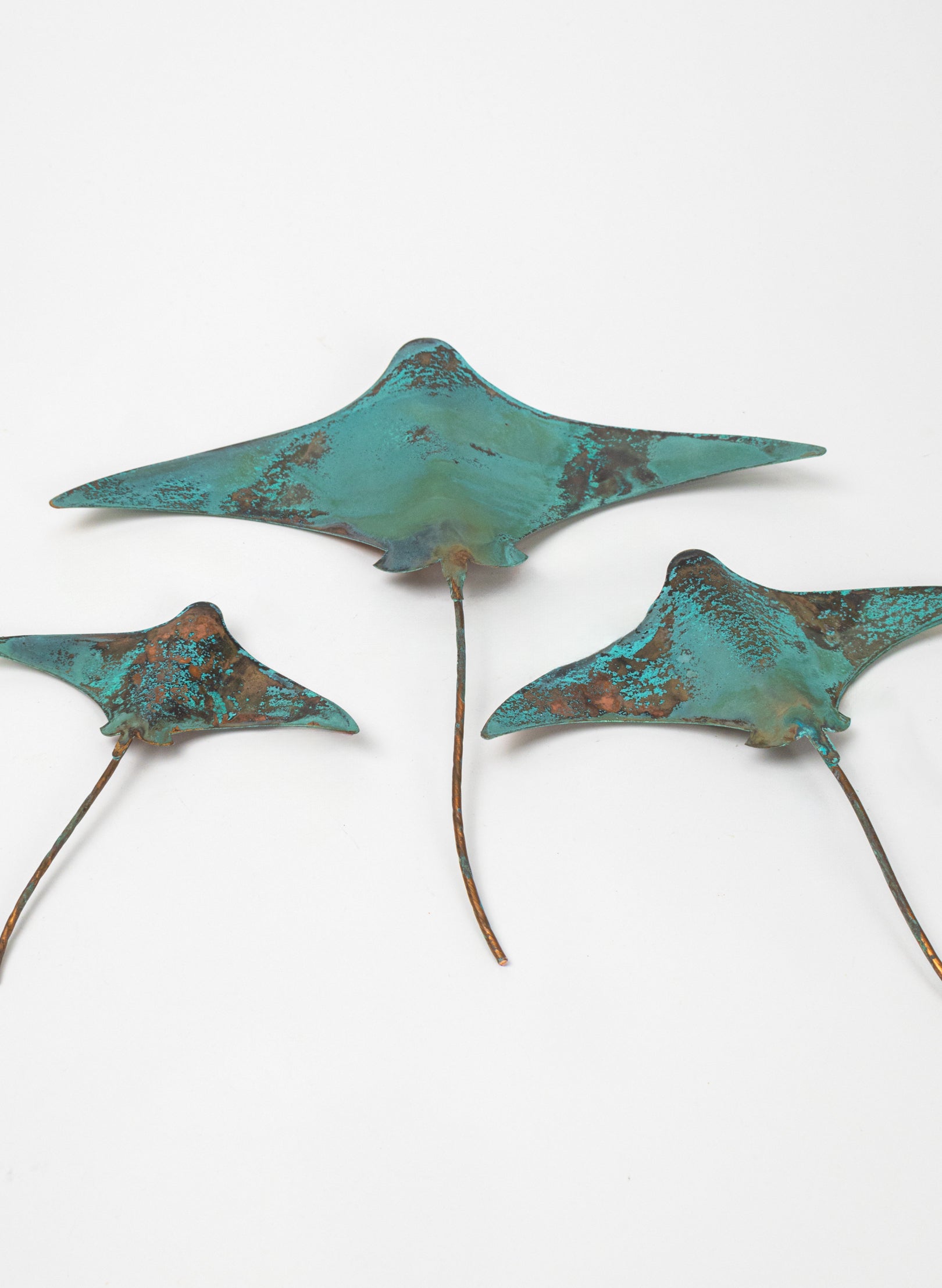 Stingray - Set of 3