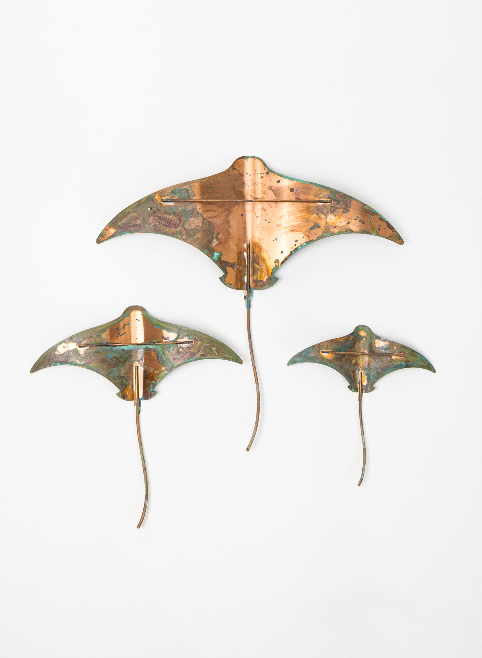 Stingray - Set of 3