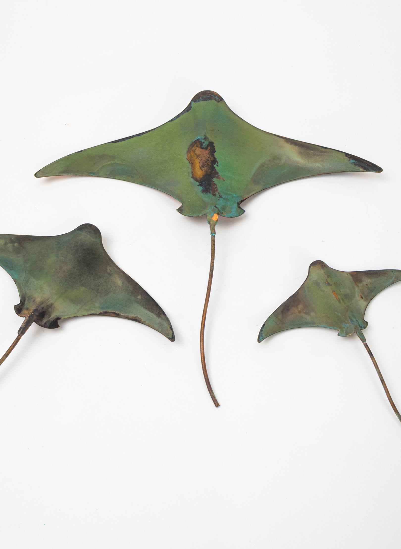 Stingray - Set of 3