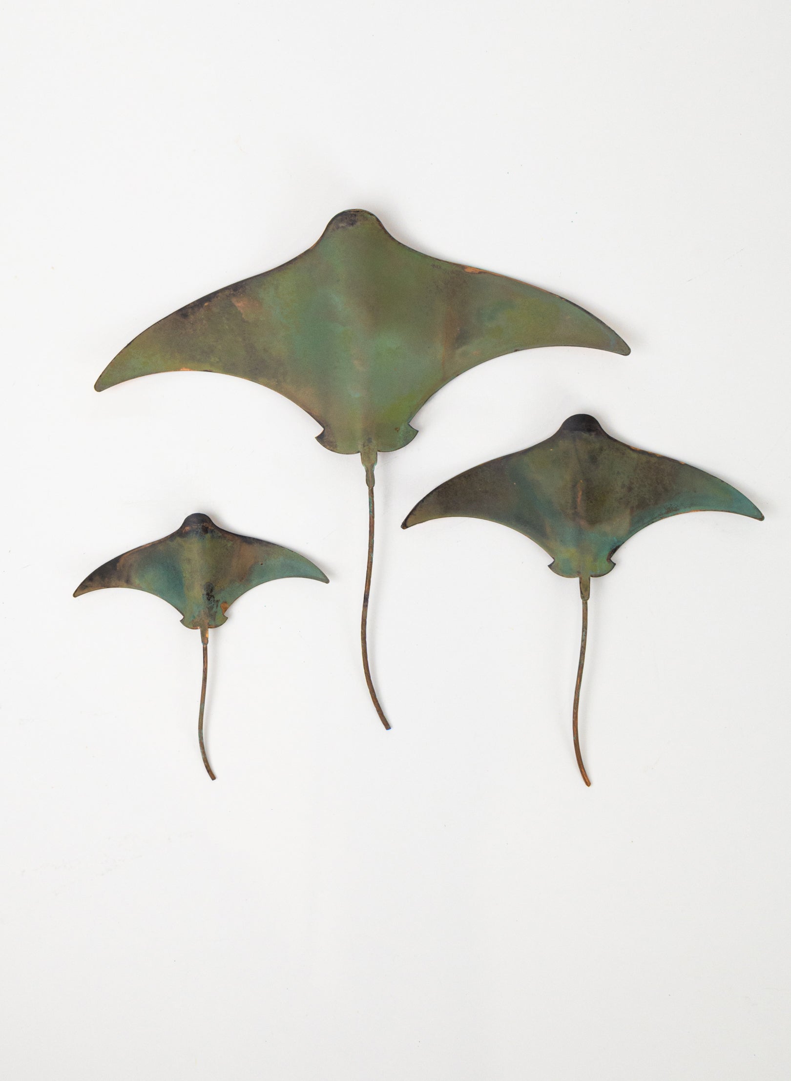Stingray - Set of 3