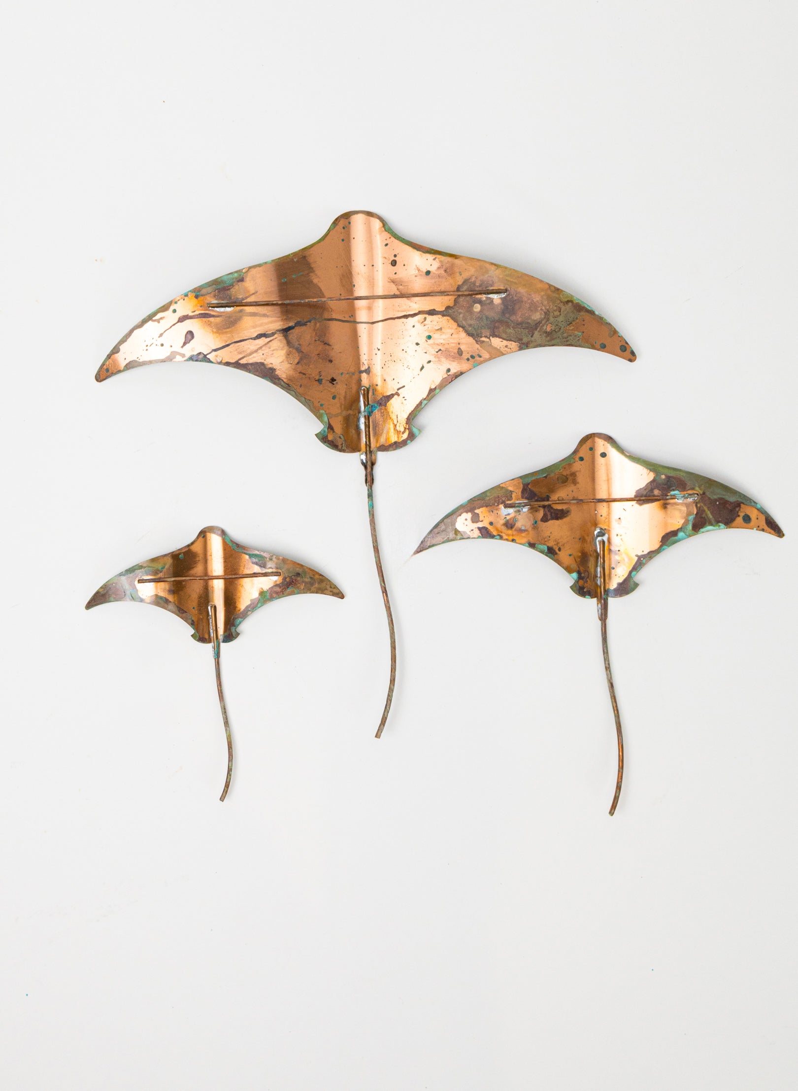 Stingray - Set of 3