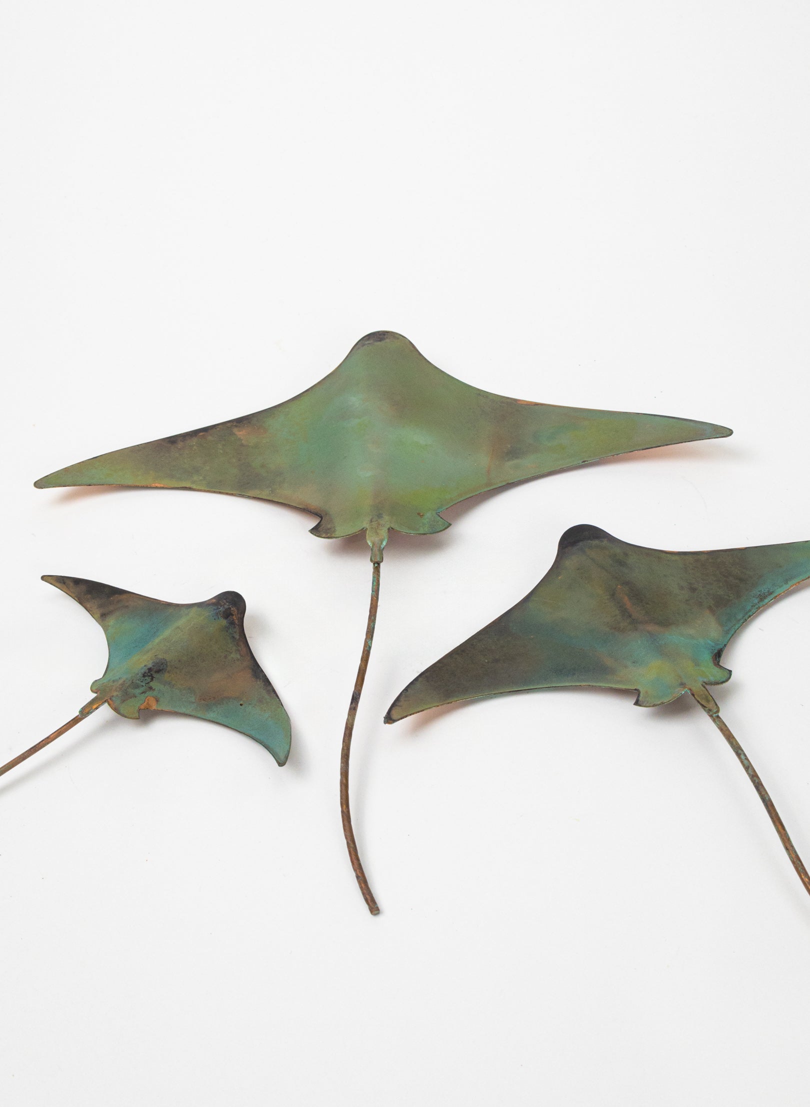 Stingray - Set of 3