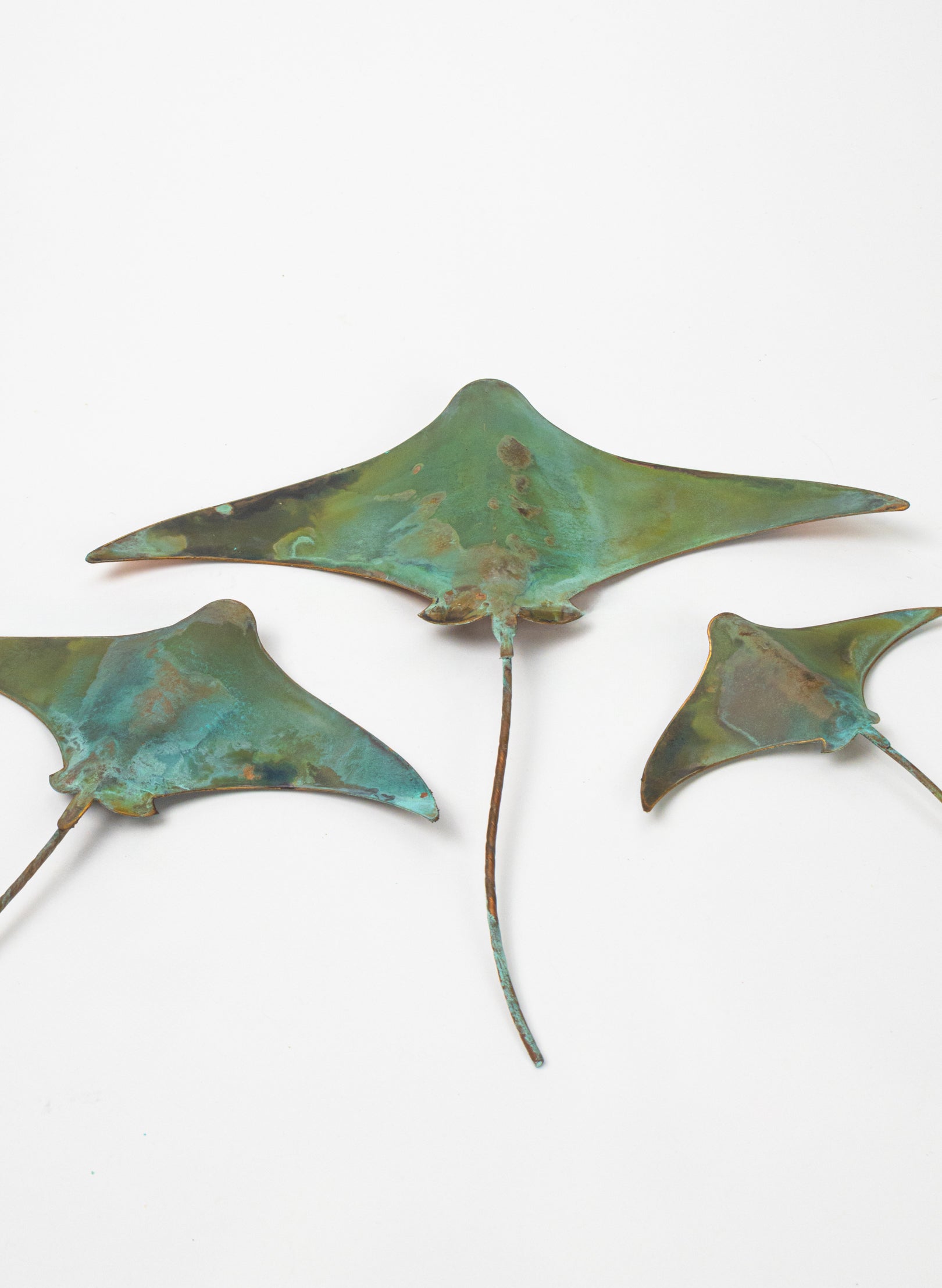 Stingray - Set of 3