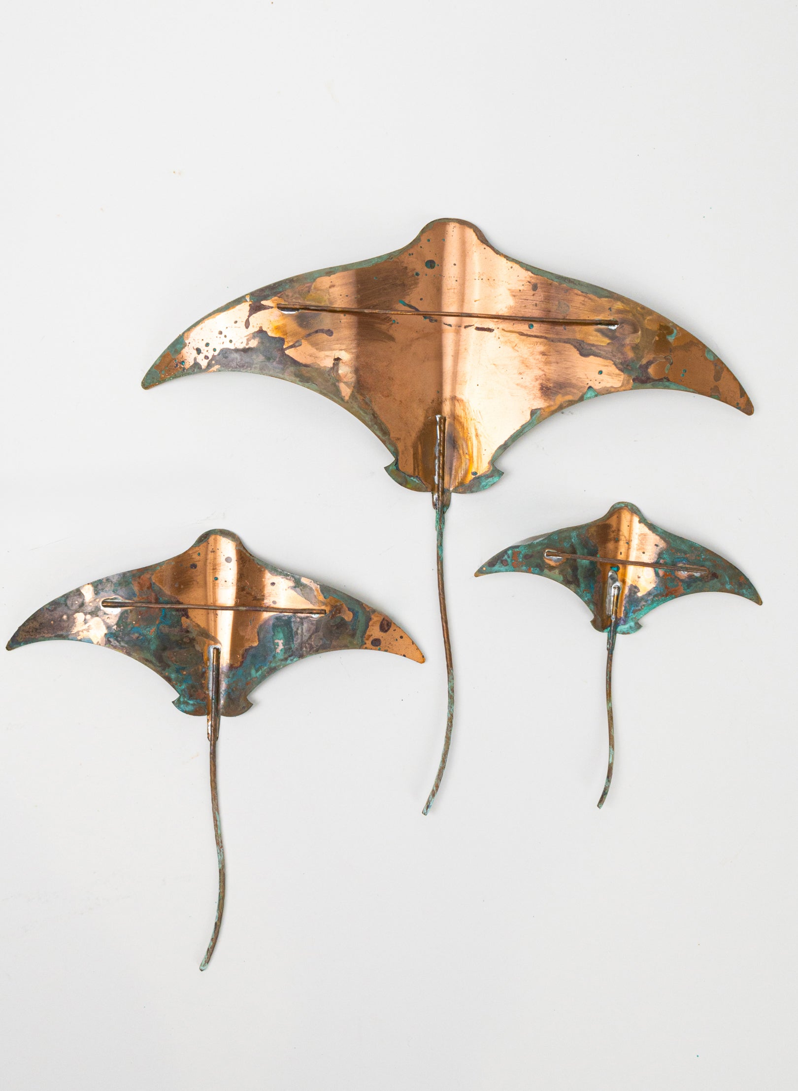 Stingray - Set of 3