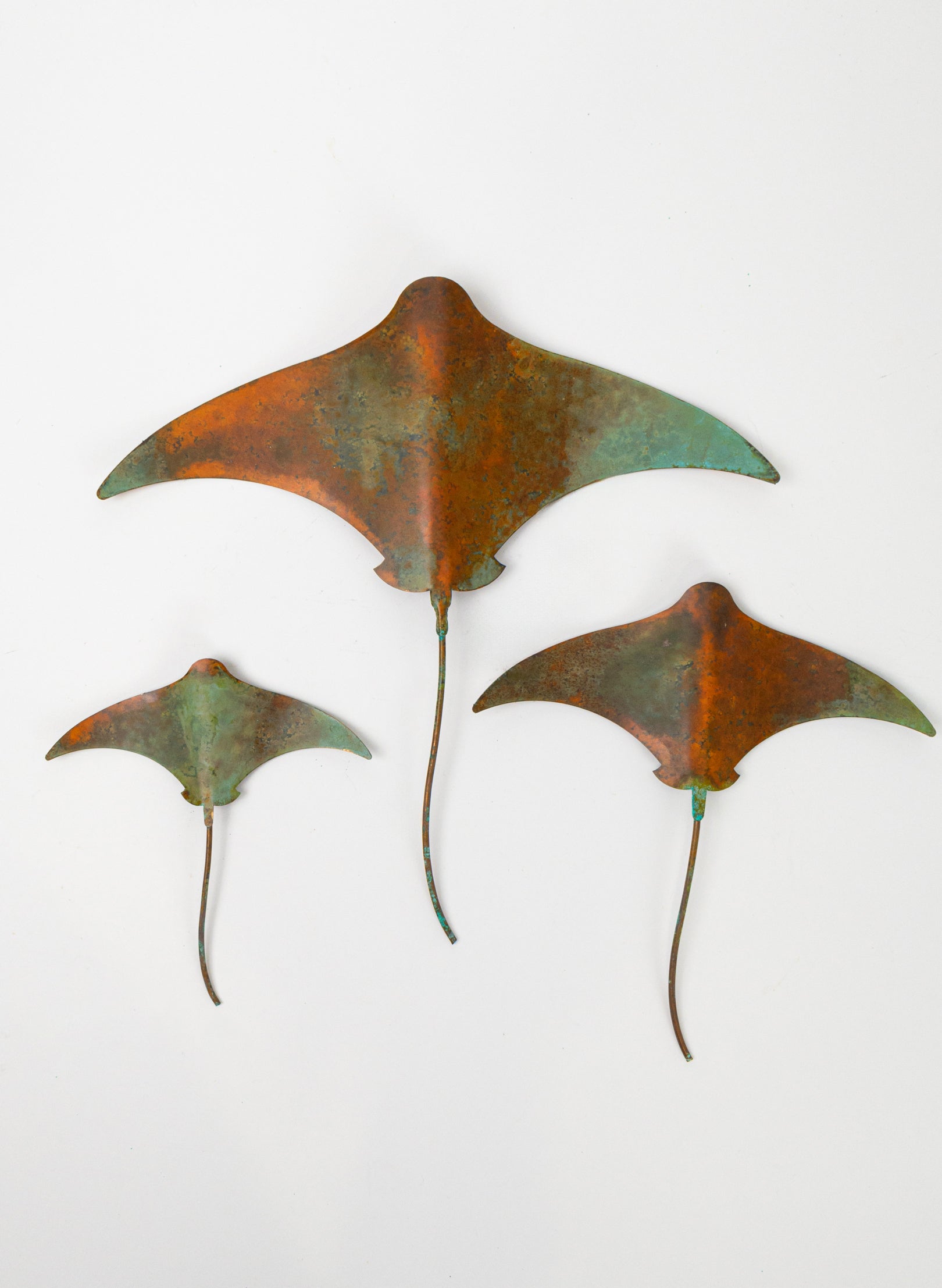 Stingray - Set of 3