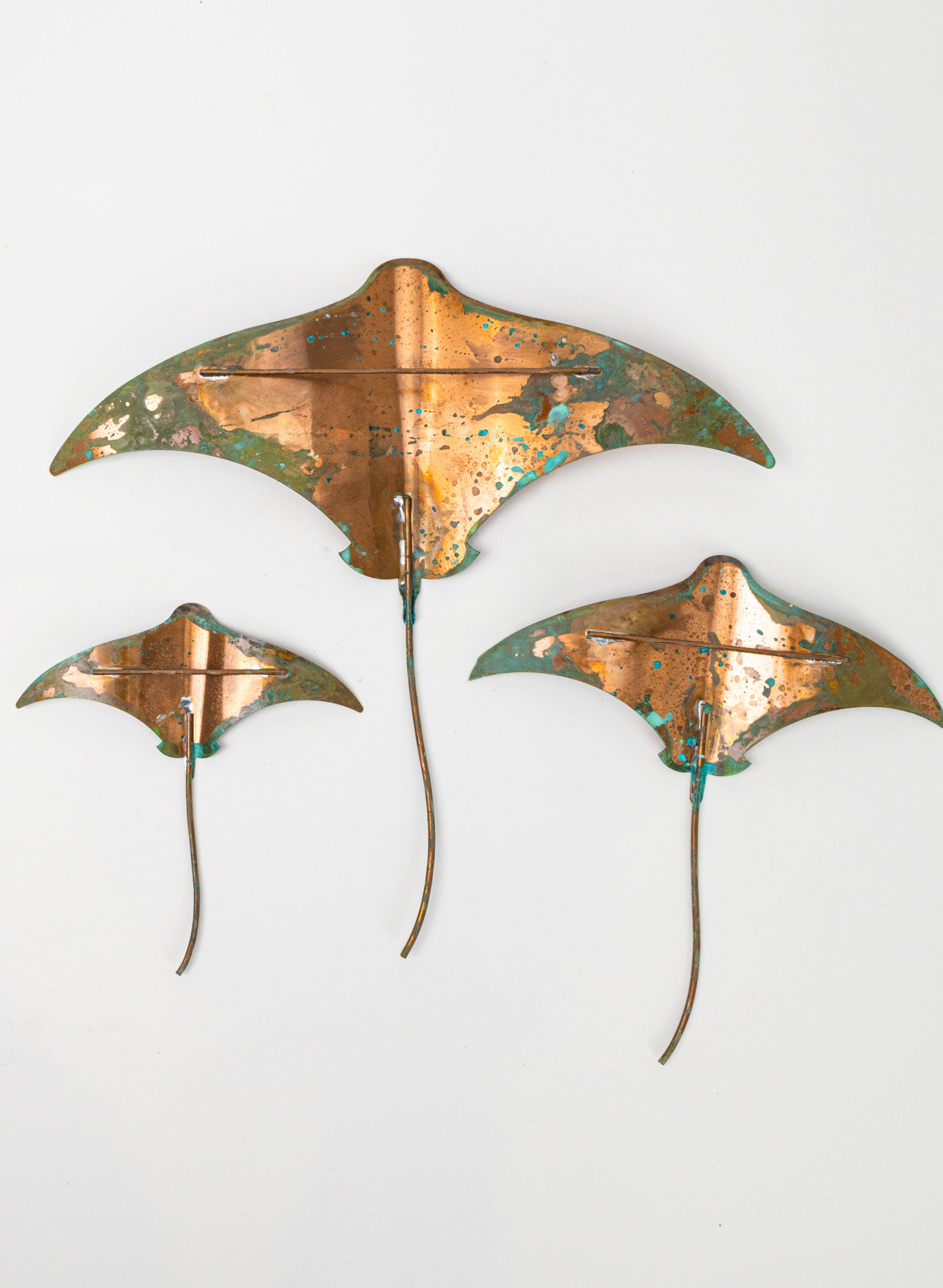 Stingray - Set of 3