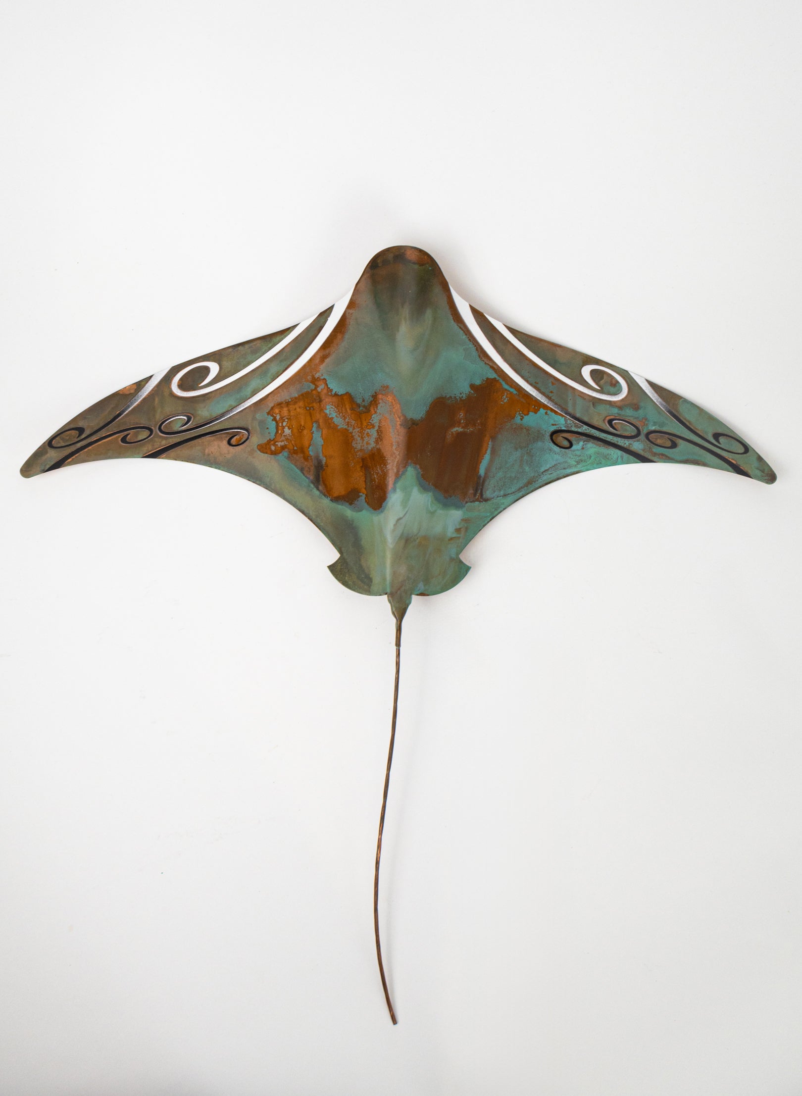 Pacific Stingray - XXLarge