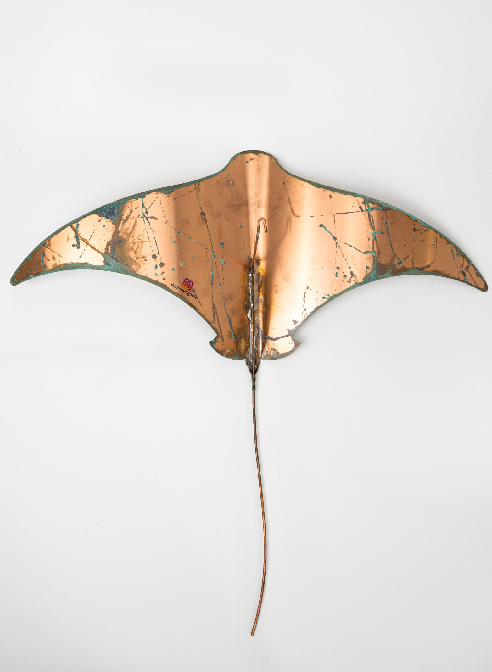 Pacific Stingray - XXLarge