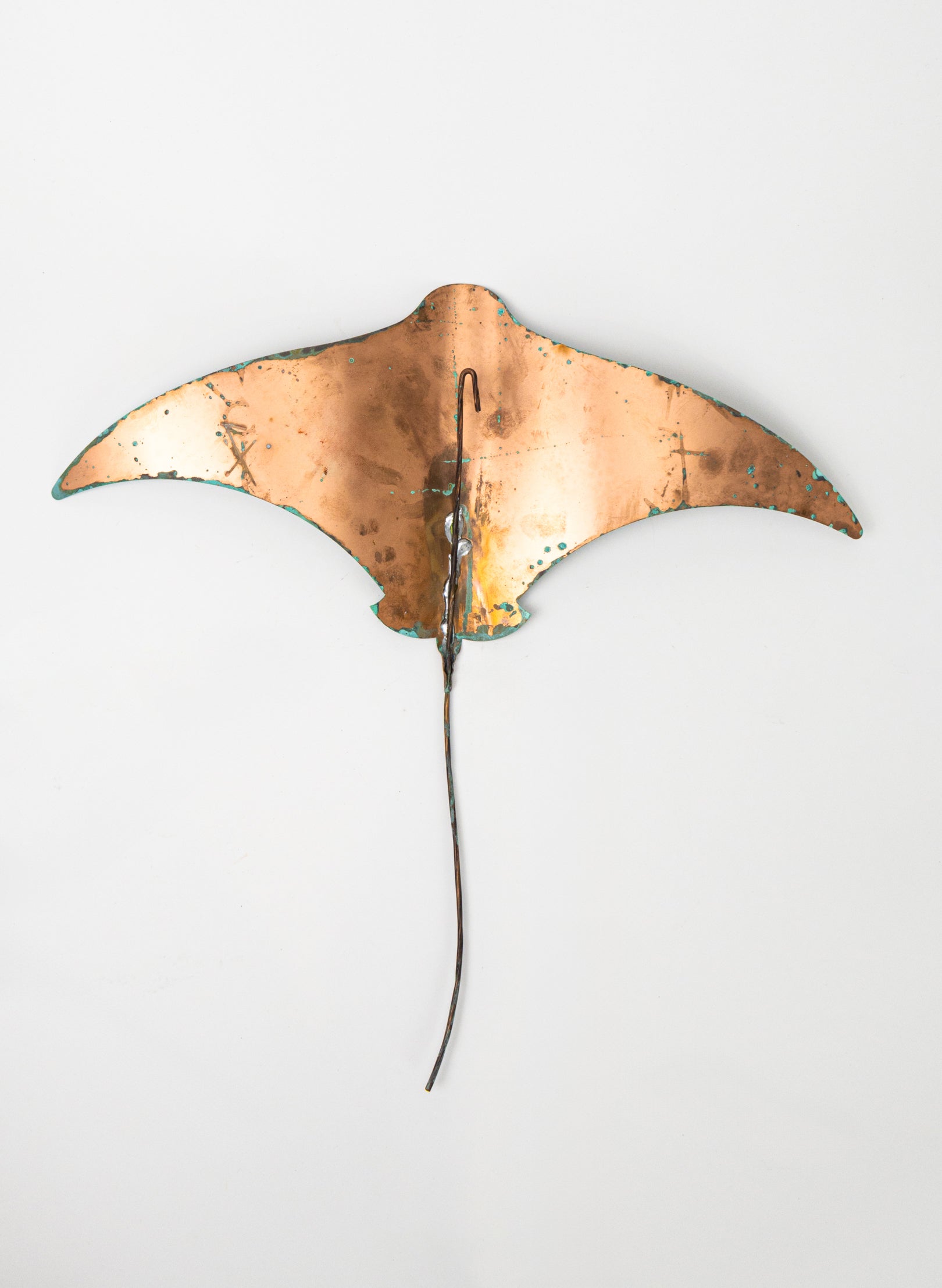 Pacific Stingray - XLarge