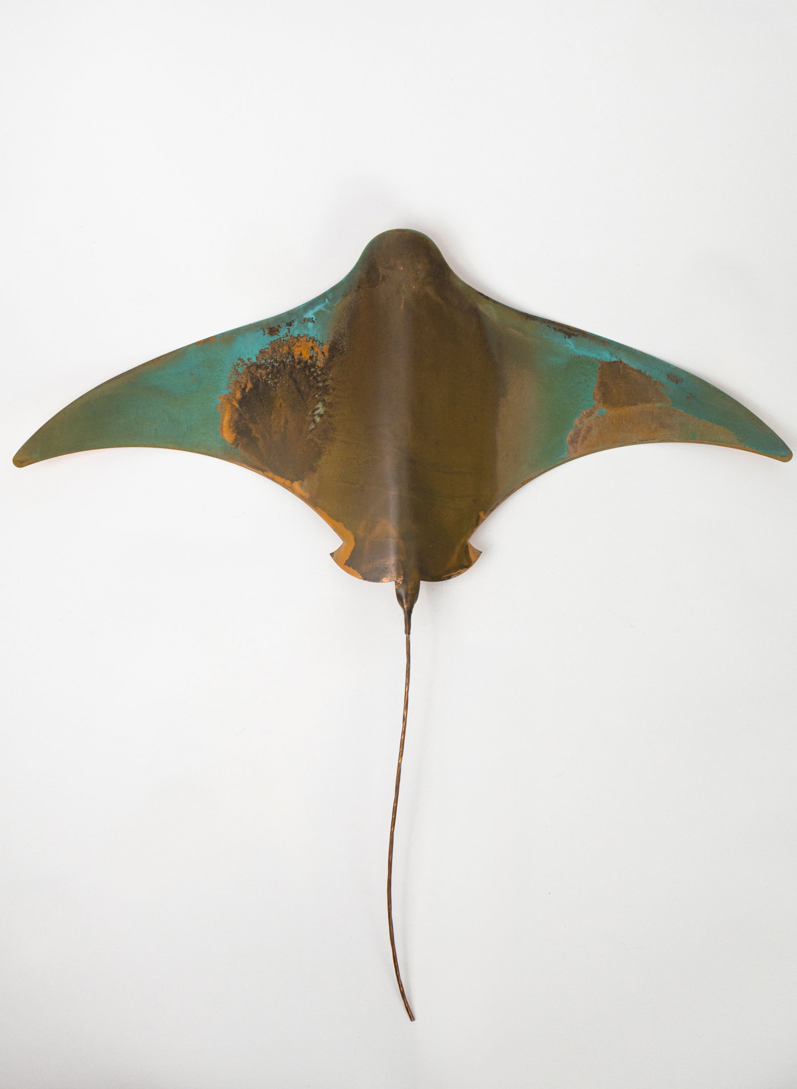 Stingray - XXL
