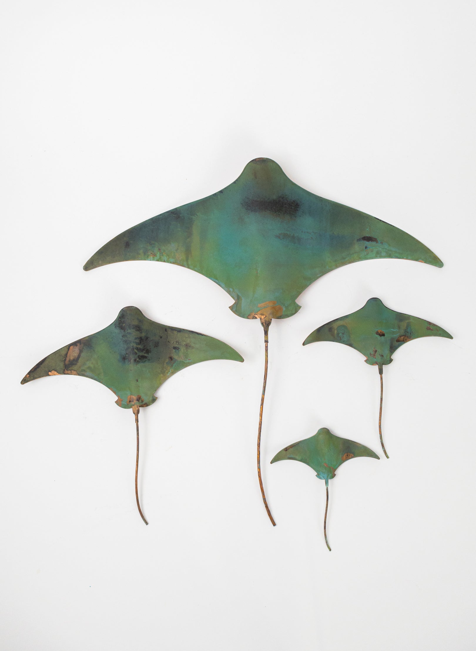Stingray - Set of 4