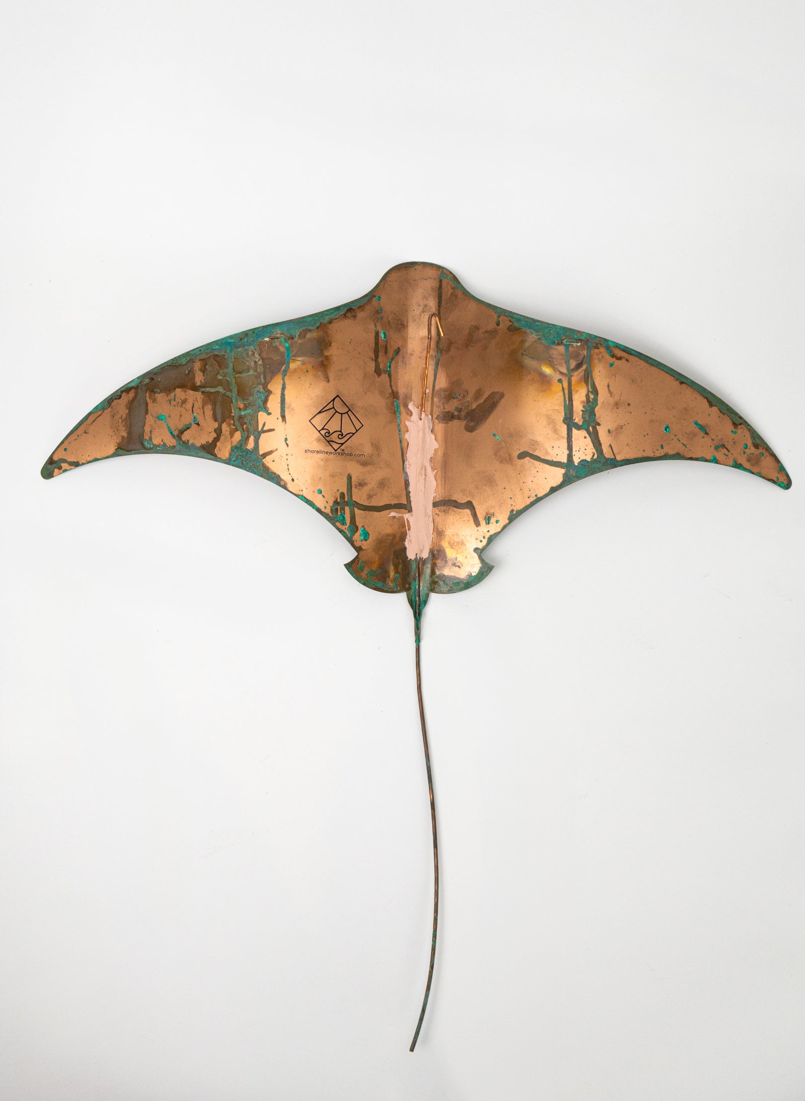Pacific Stingray - XXLarge