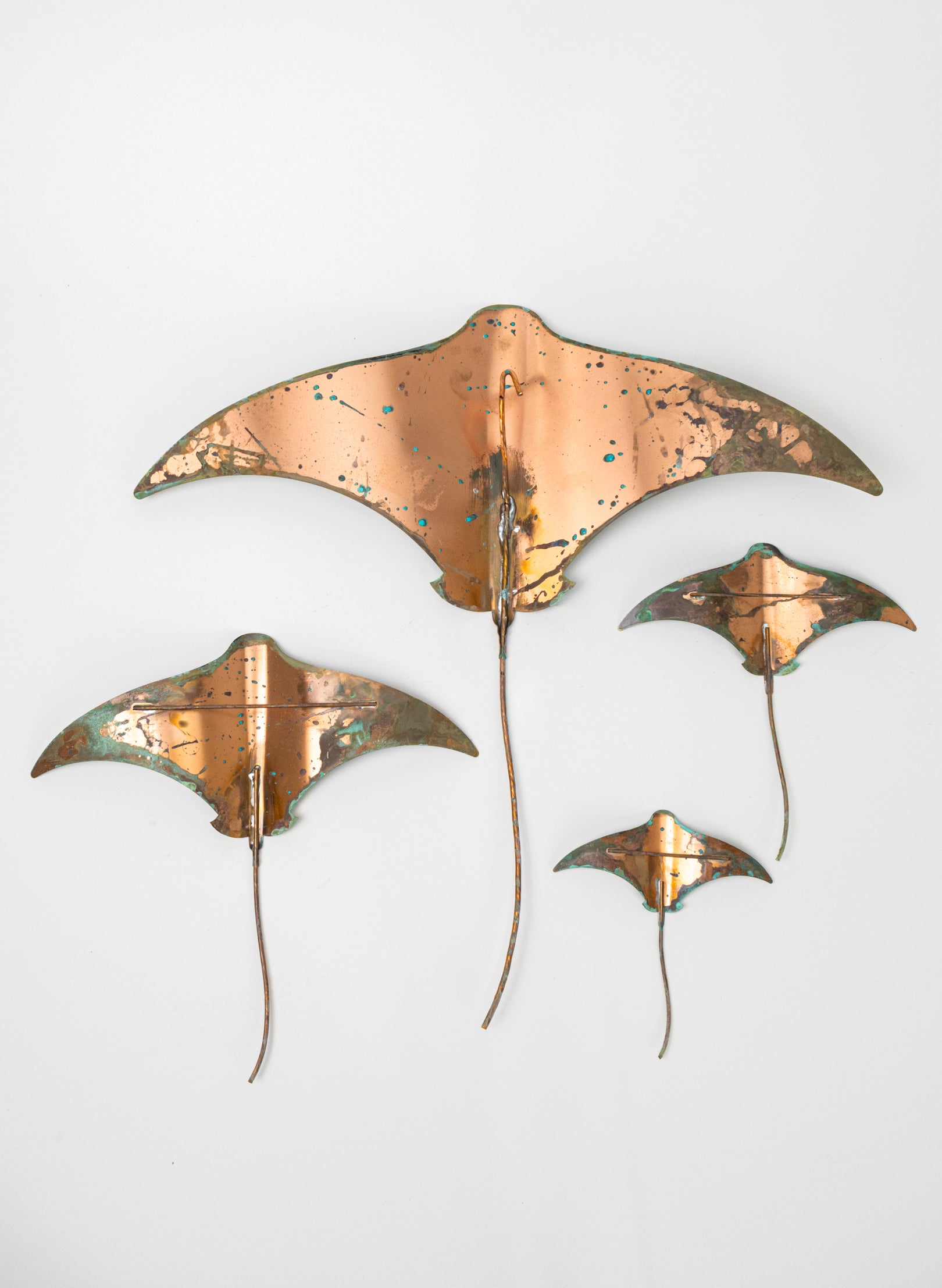 Stingray - Set of 4
