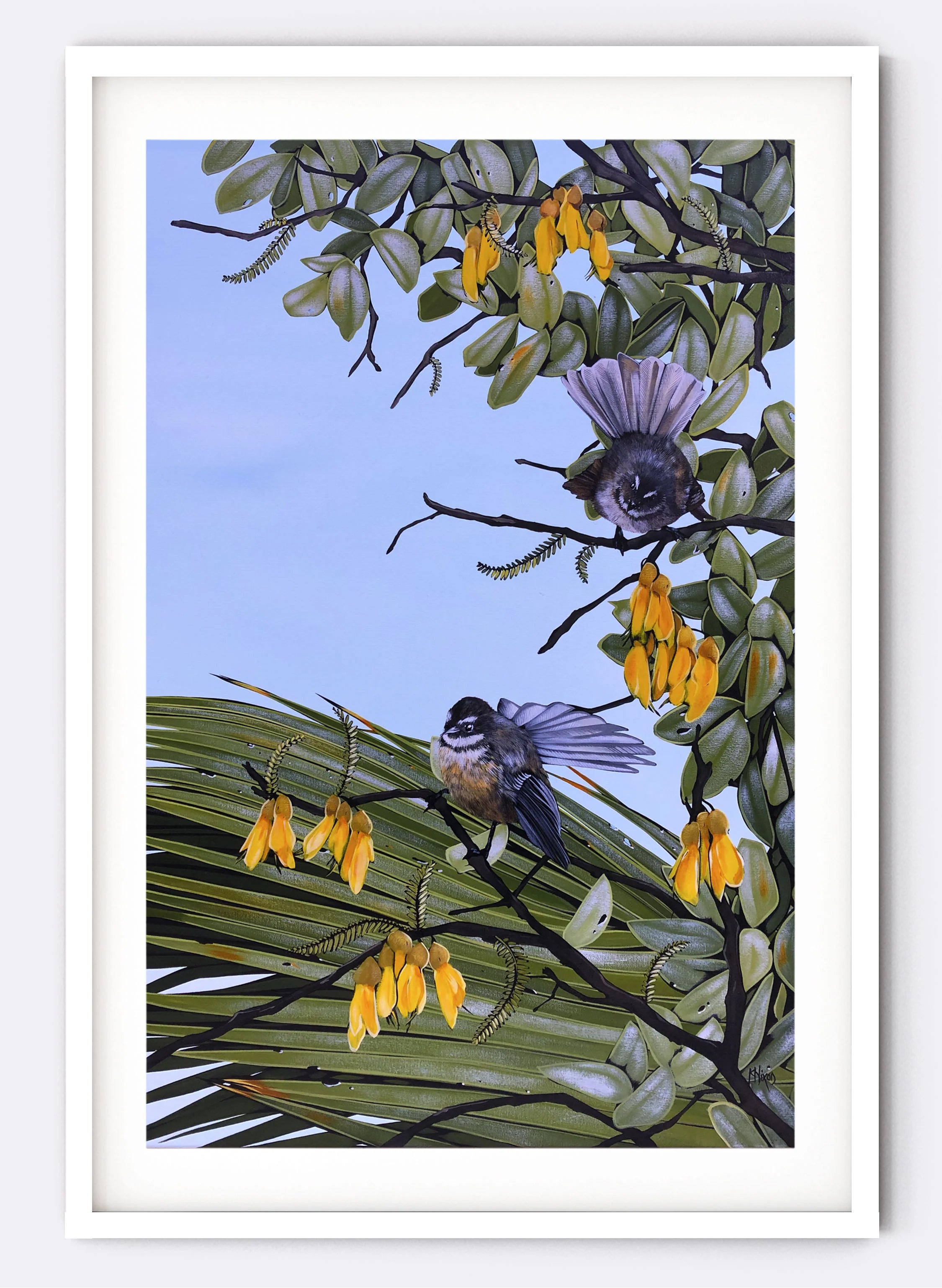 Fantail No.2 - Giclée Print