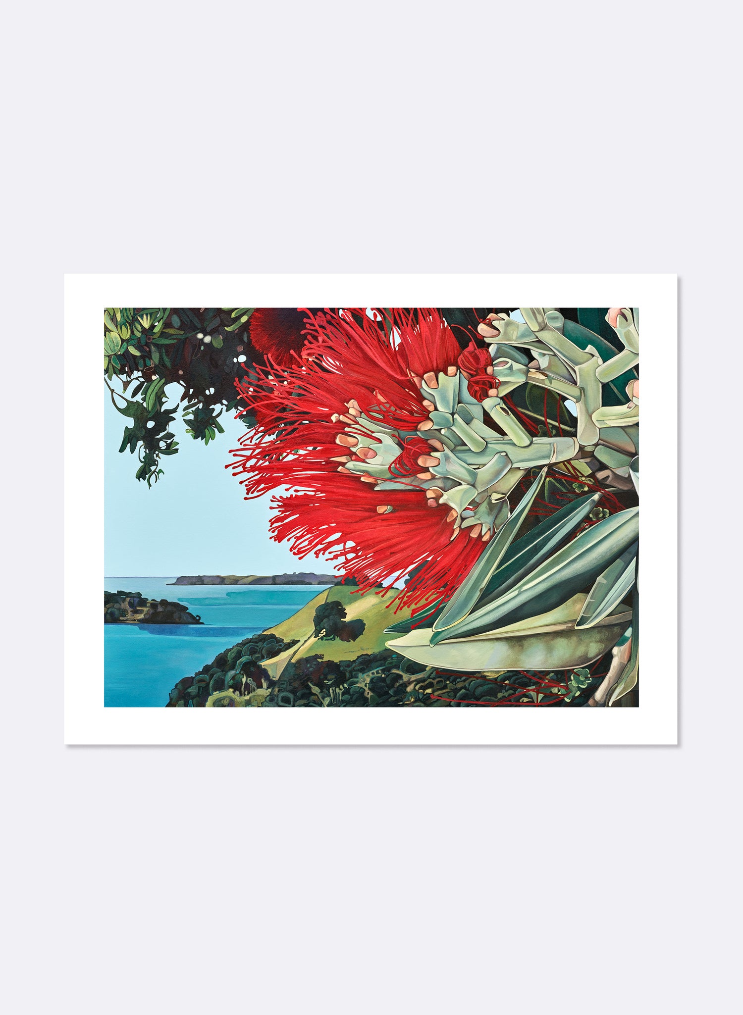 Mahurangi West - Giclée Print