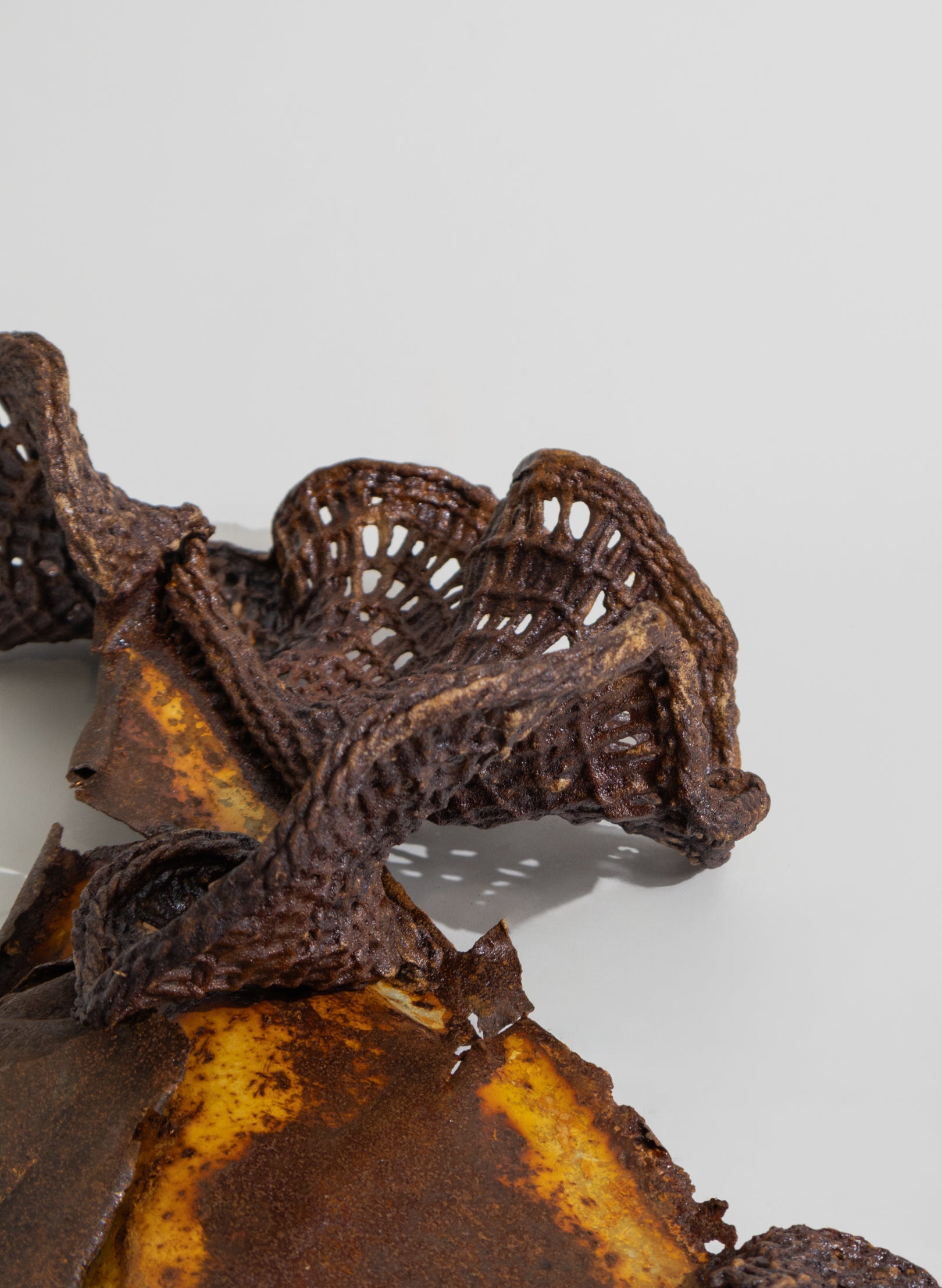 Algae Wall Sculpture