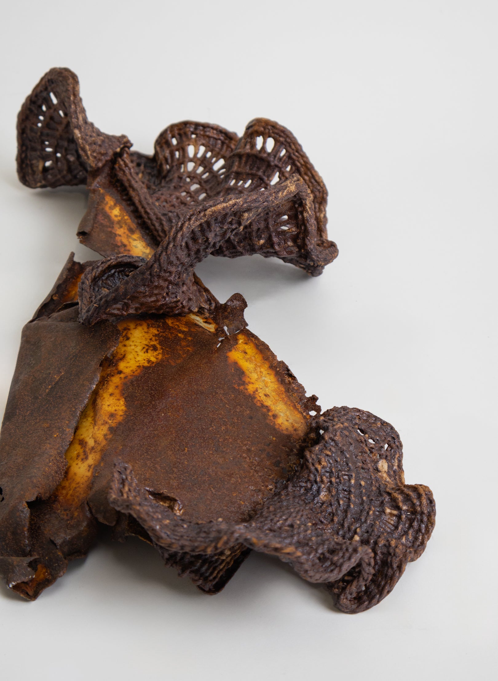 Algae Wall Sculpture