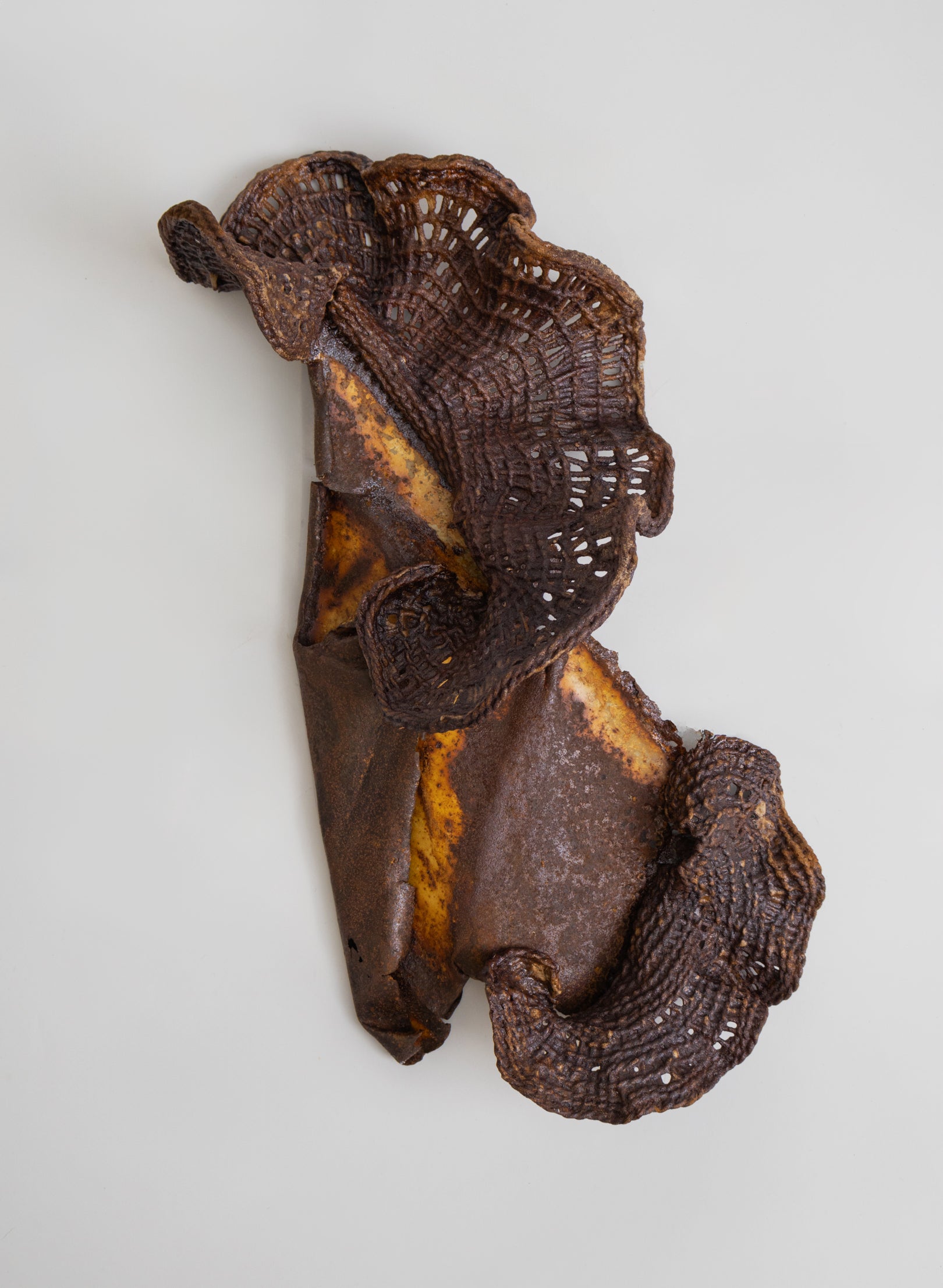 Algae Wall Sculpture