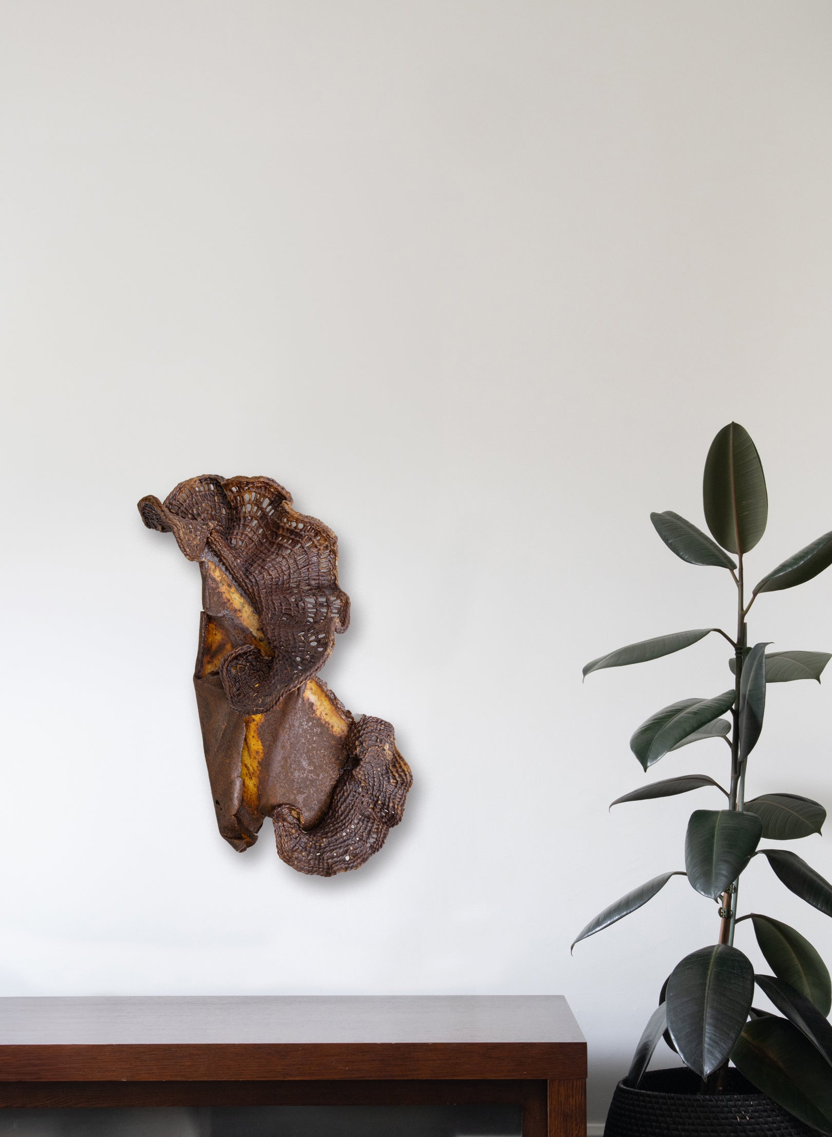 Algae Wall Sculpture