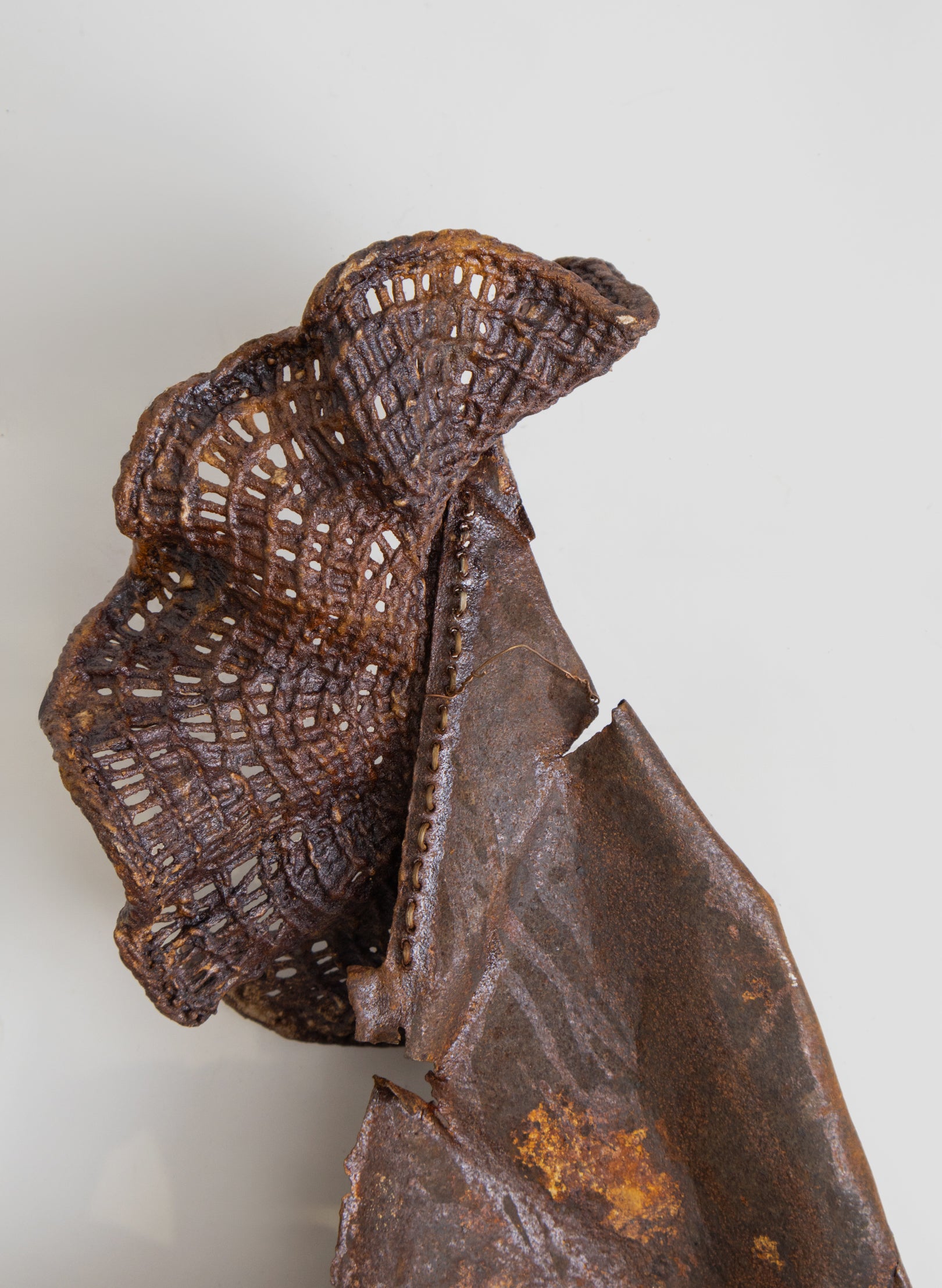 Algae Wall Sculpture