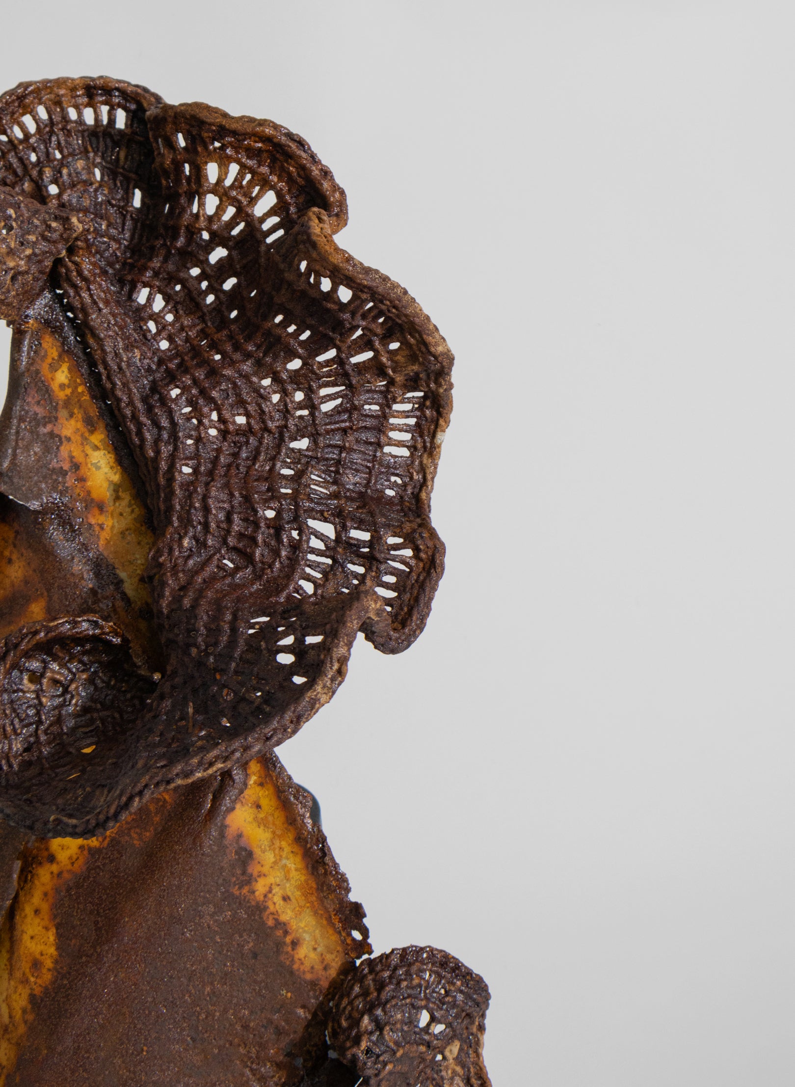 Algae Wall Sculpture