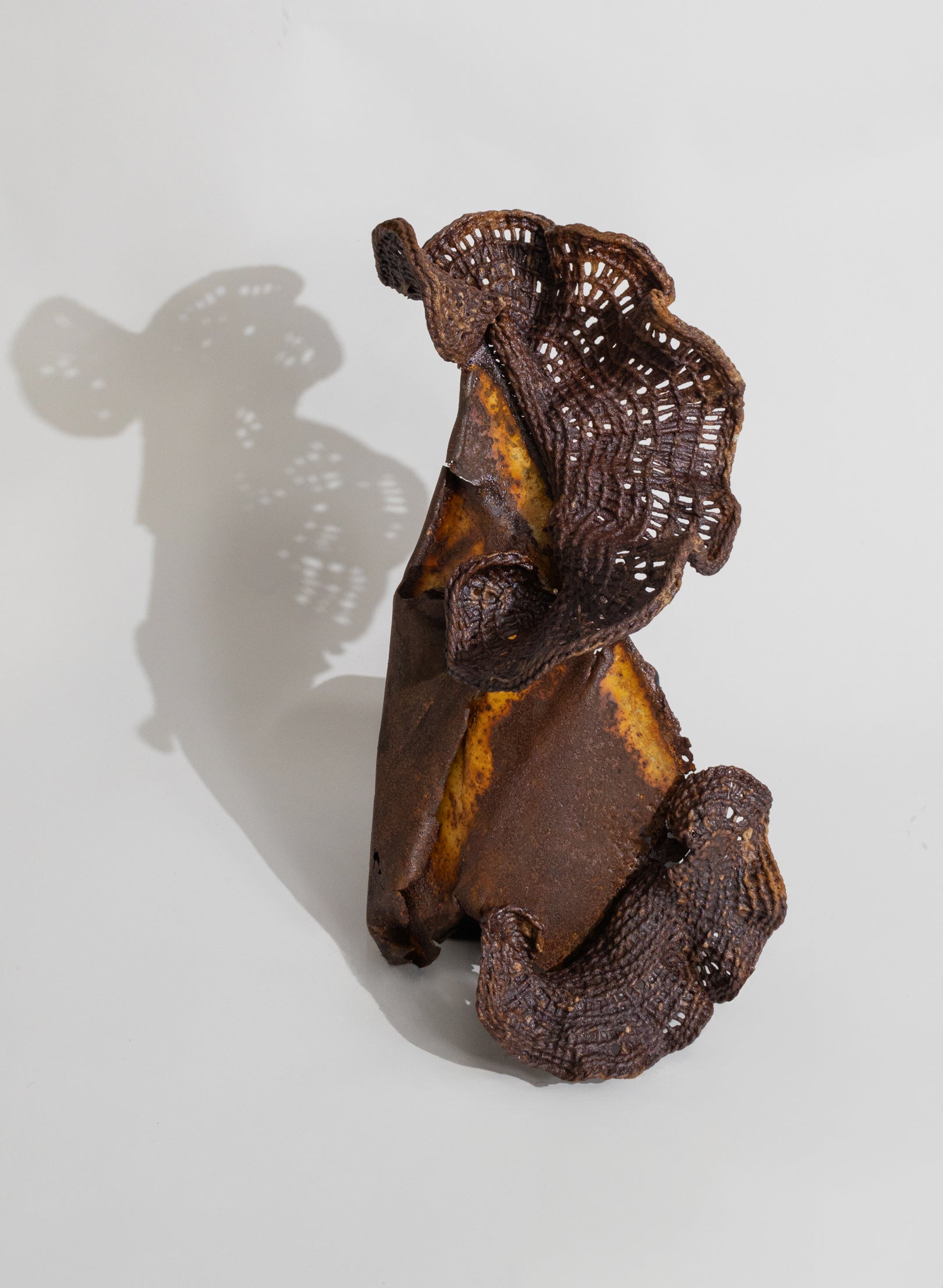 Algae Wall Sculpture