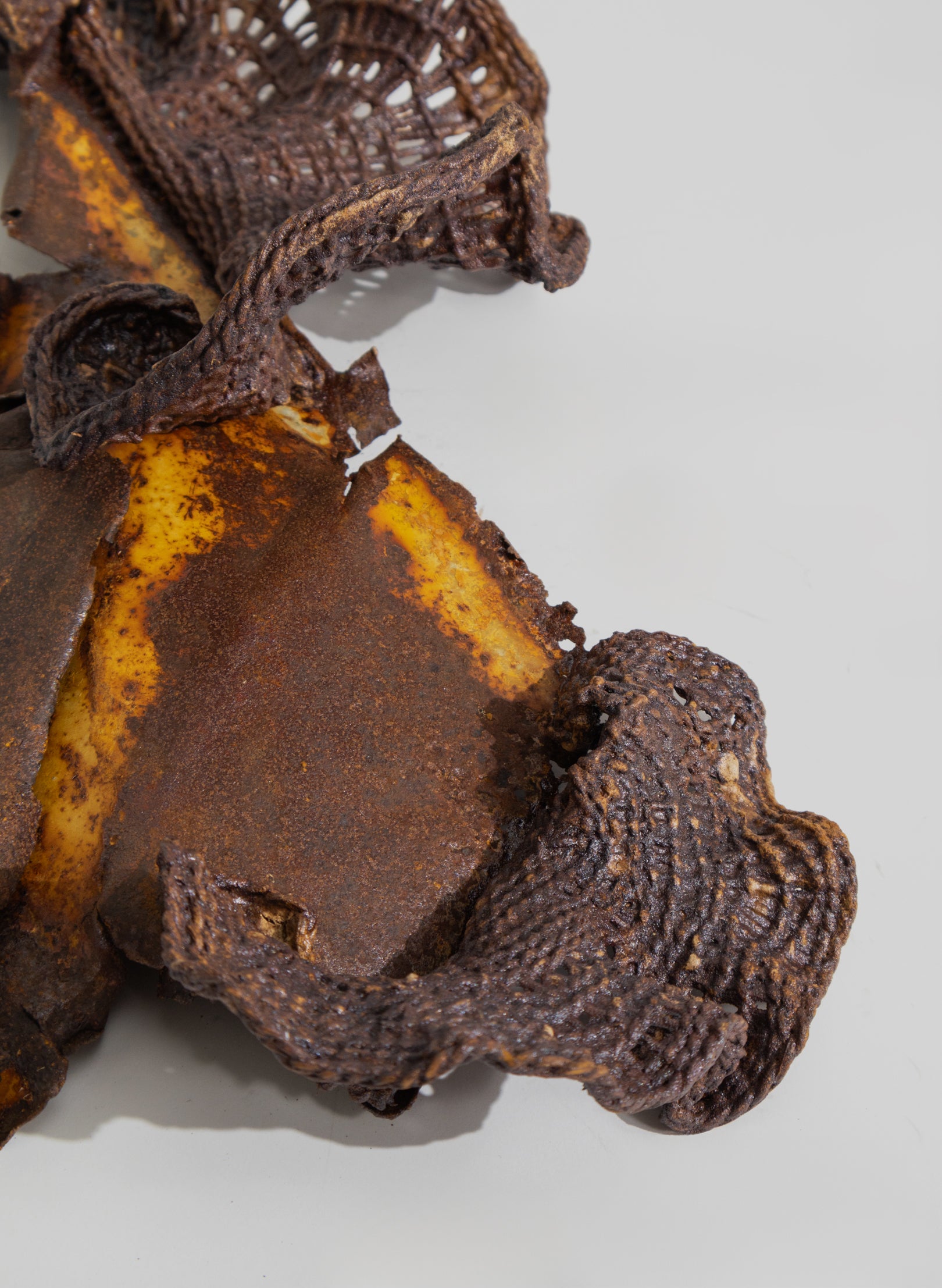 Algae Wall Sculpture