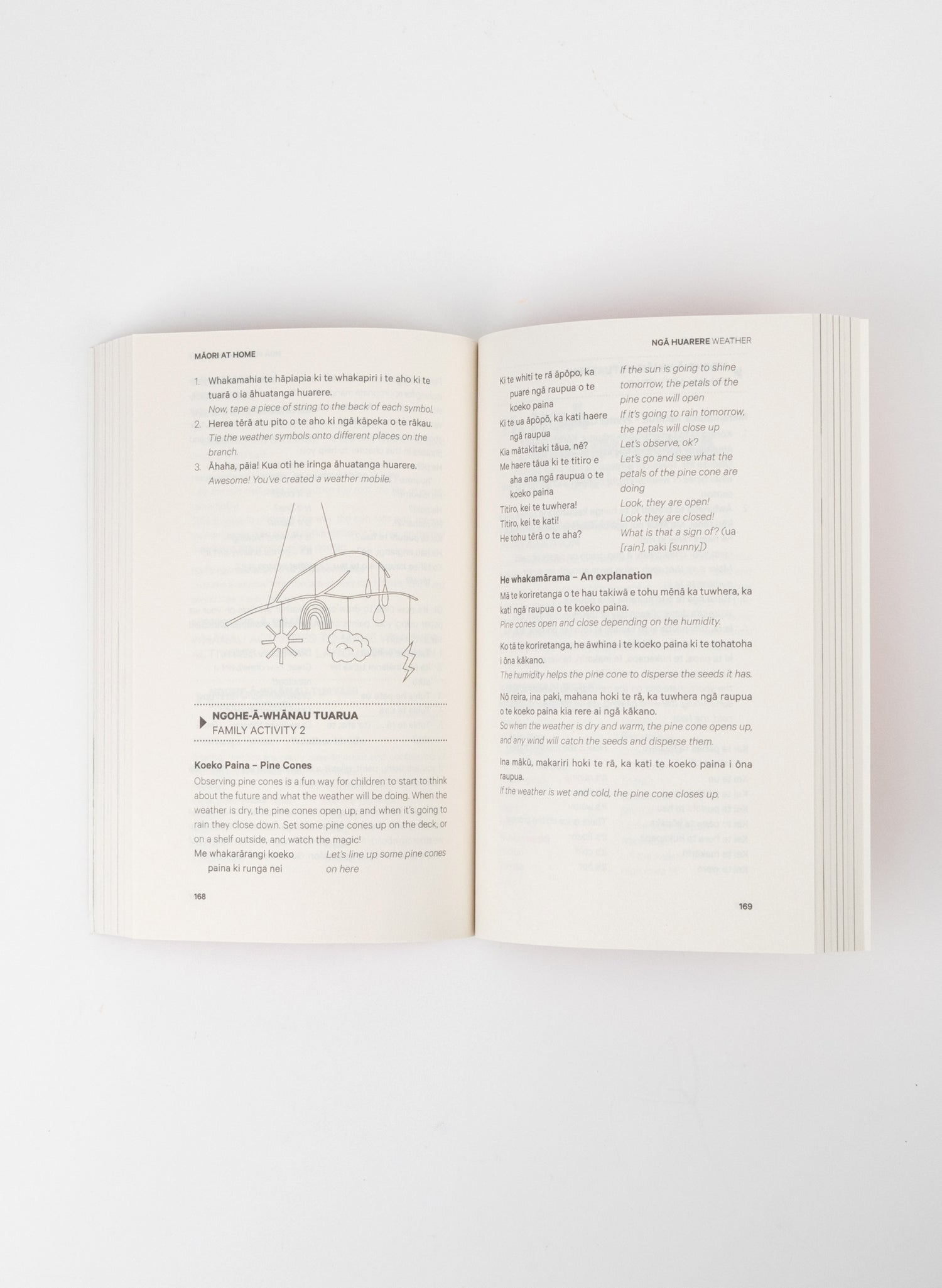 Māori at Home by Stacey and Scotty Morrison