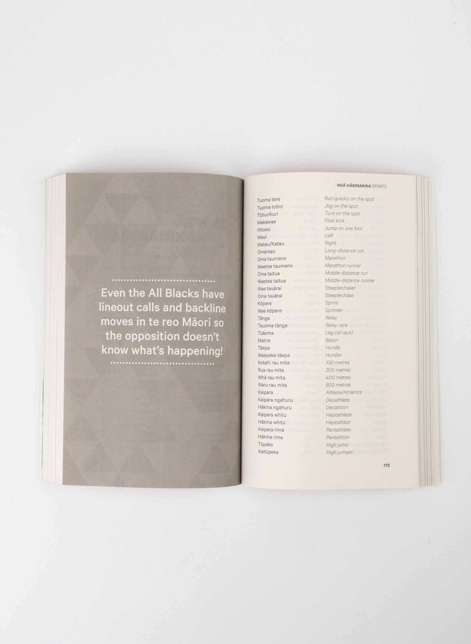 Māori at Home by Stacey and Scotty Morrison