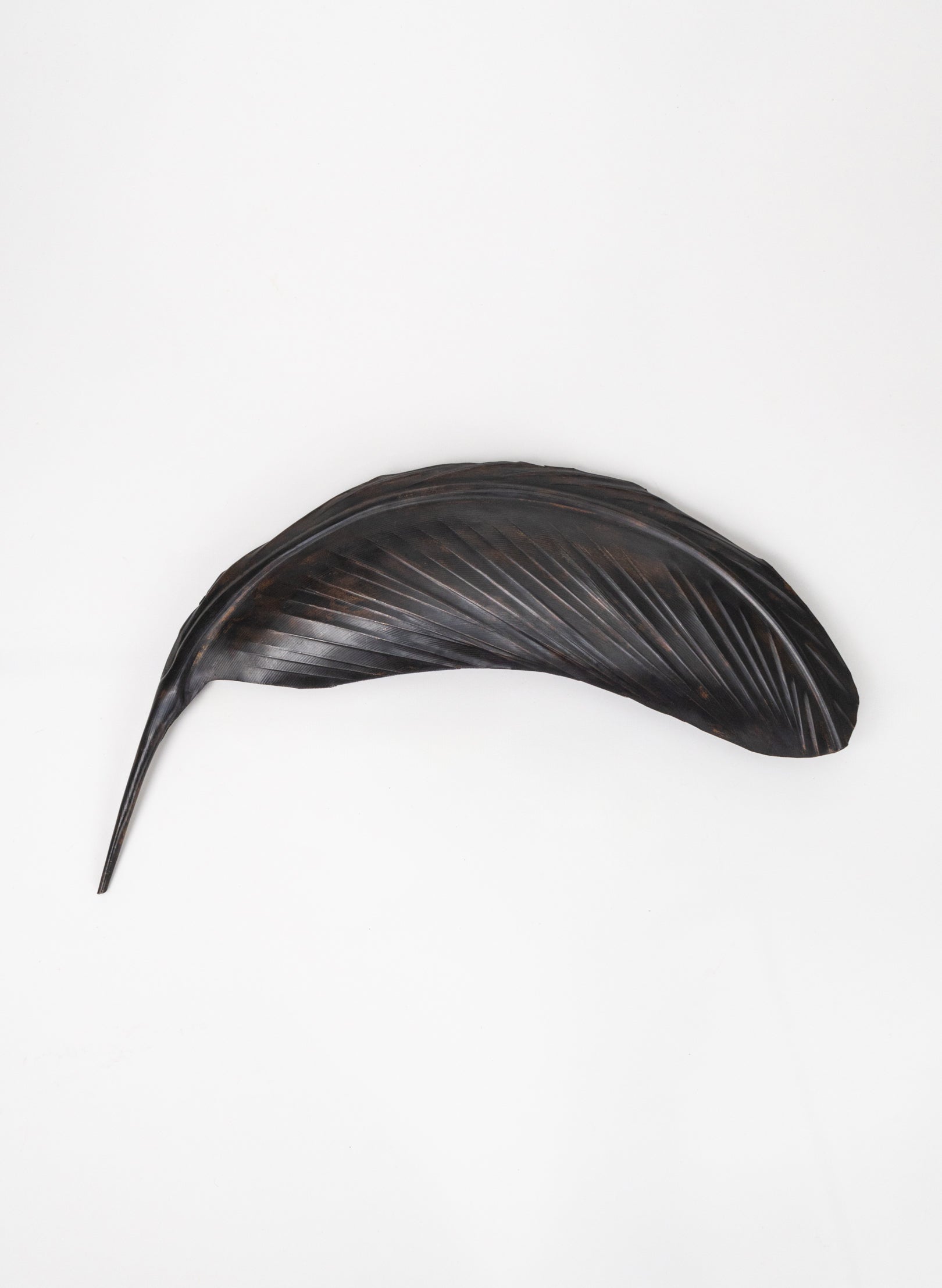 Tui Copper Feather 390mm