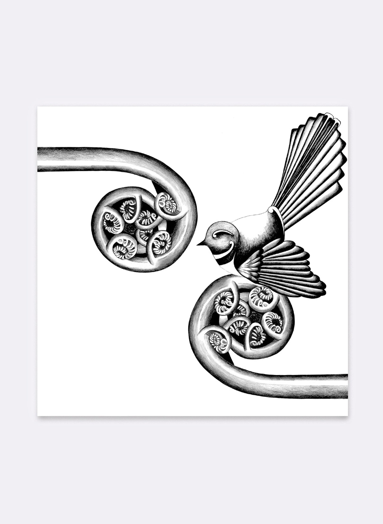 Pause Before Flight - Giclée Print